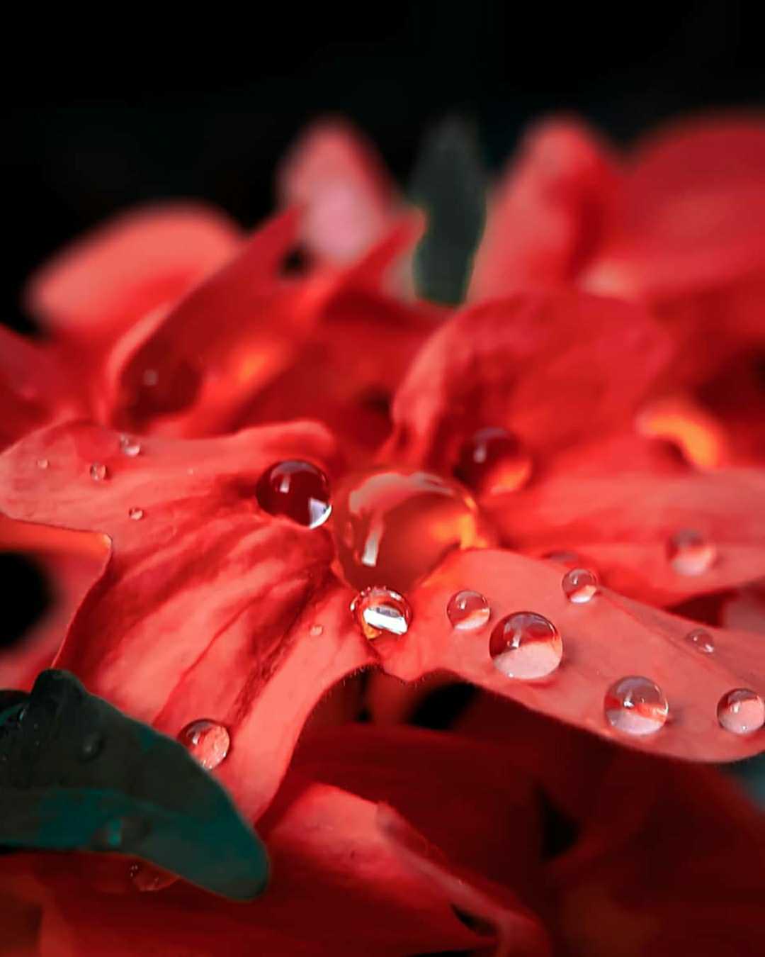 Macro shot of water droplets ❤