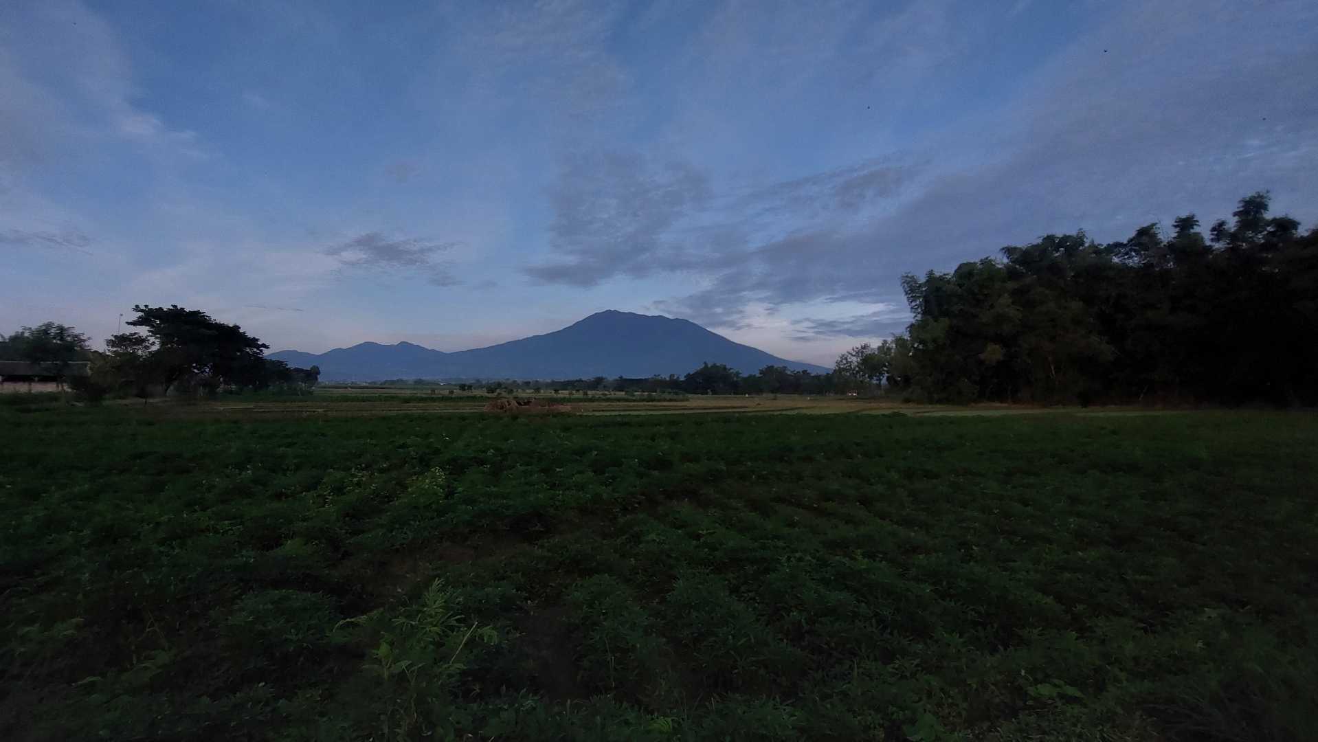 Silent Morning 
