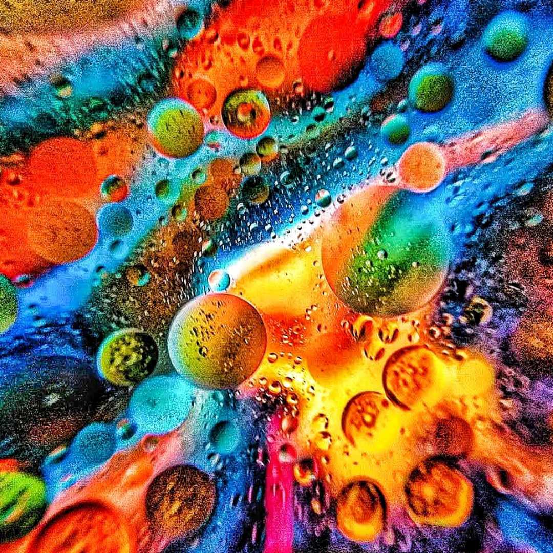 macro photography