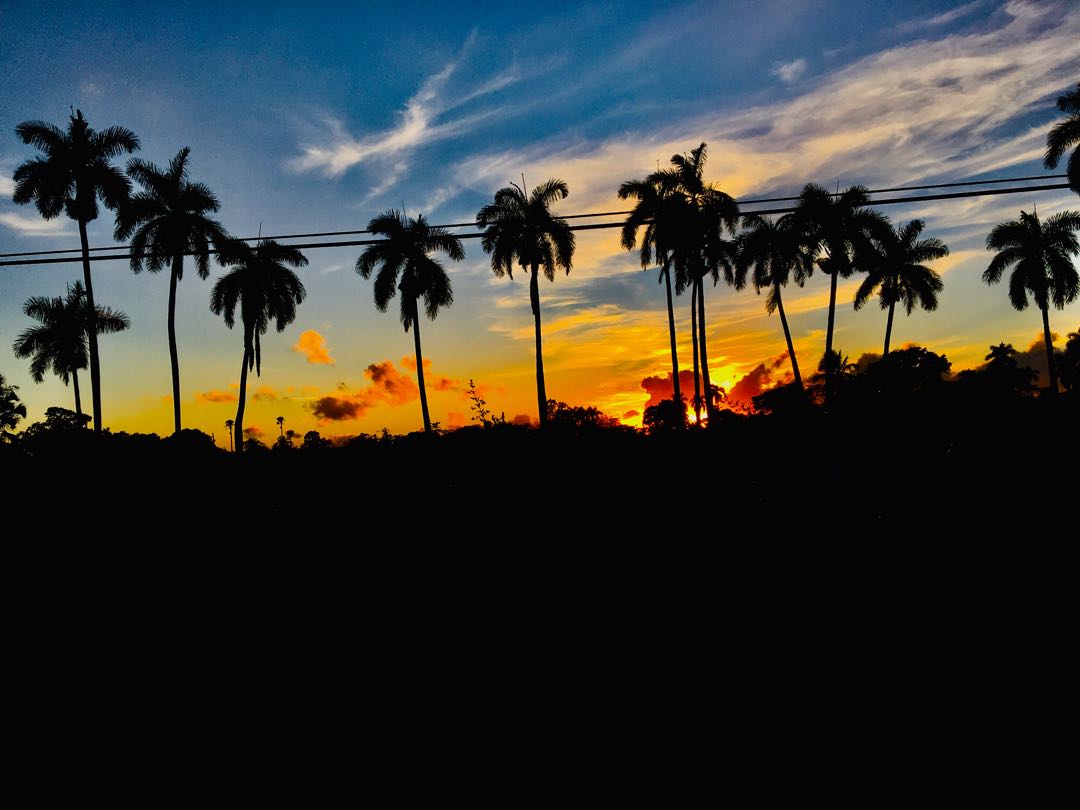 sunset 