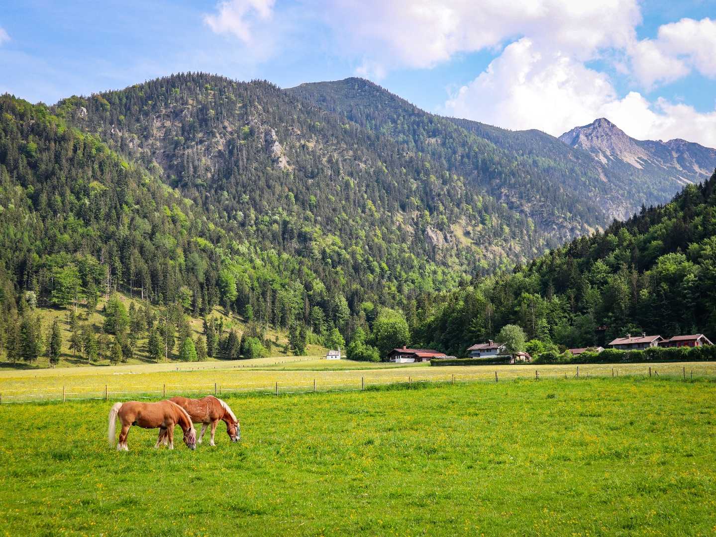 Pure nature. 