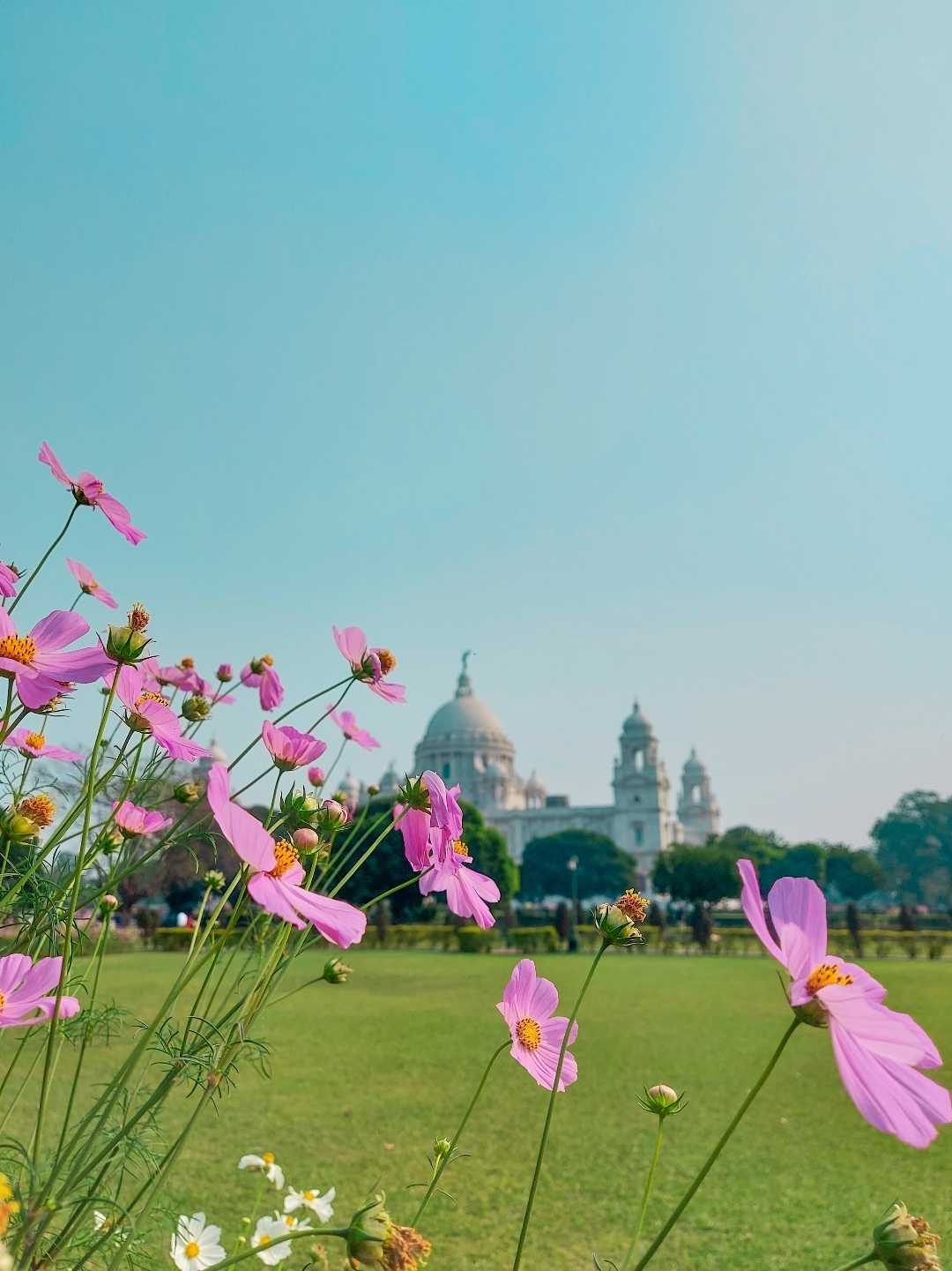 Colorful View 