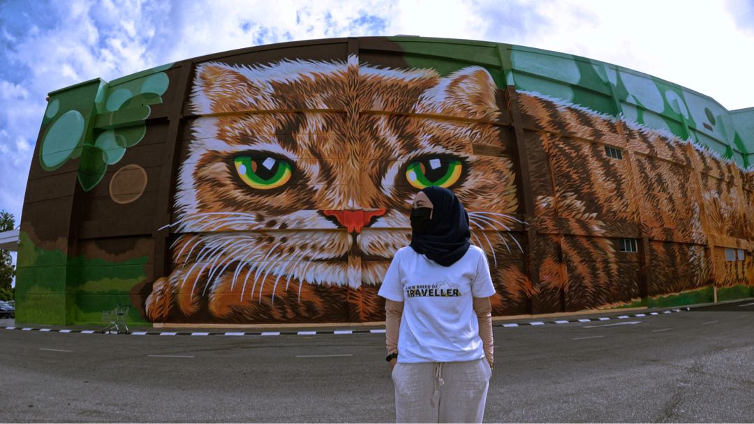 Huge cat mural at new shopping mall at Petra Jaya Kuching