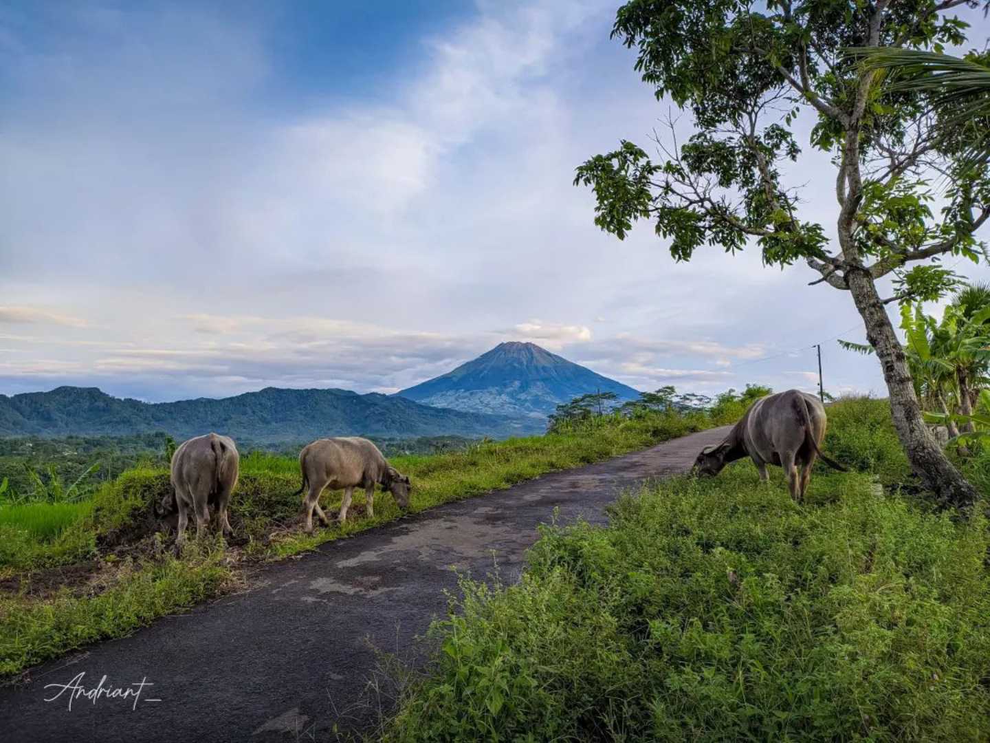 Wonderful Indonesia