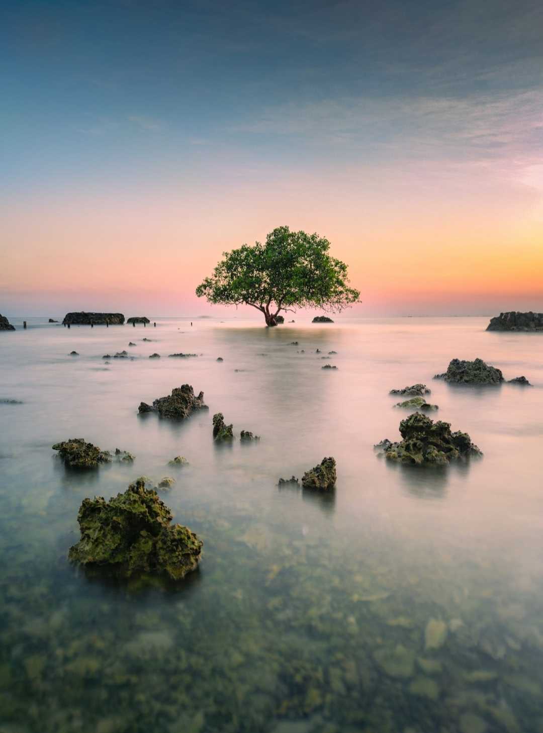 Beautiful Scenery