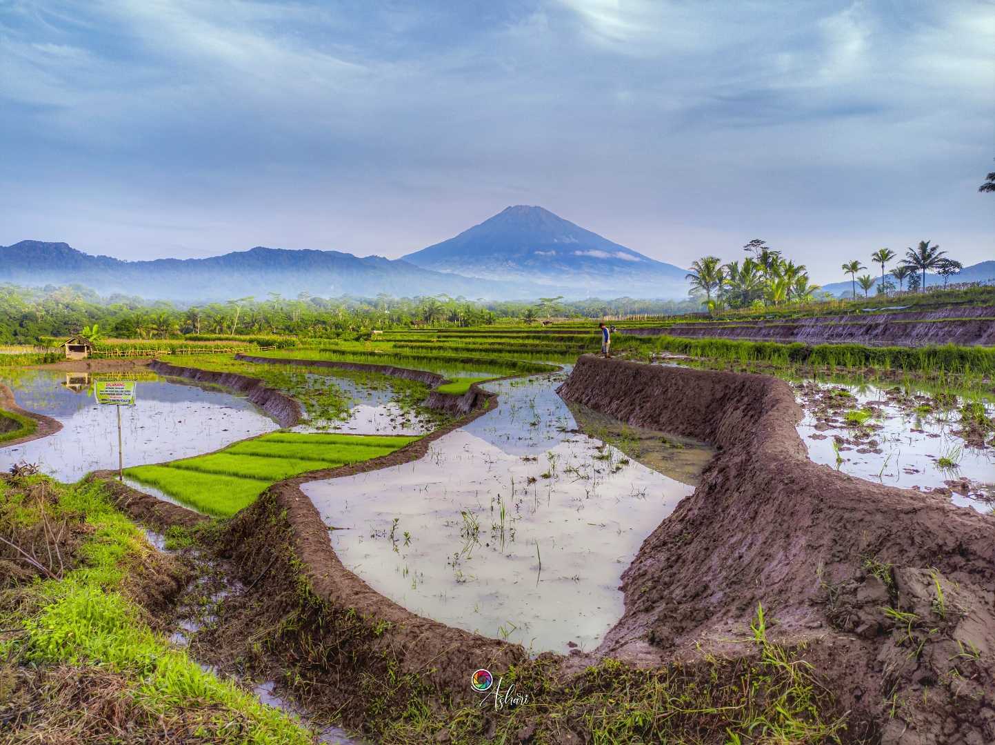 Ngendrosari, Kajoran