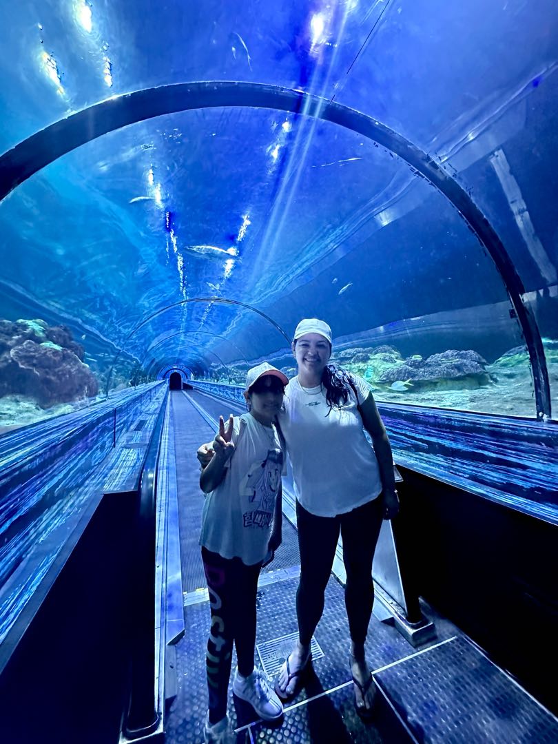 Shark Encounter