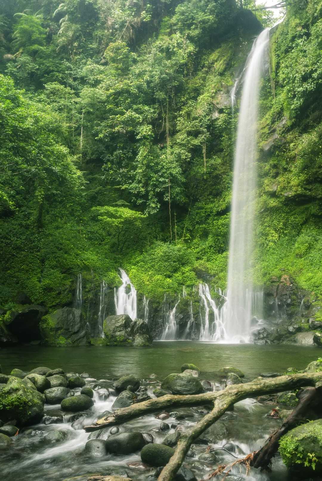 Langkuik Tamiang