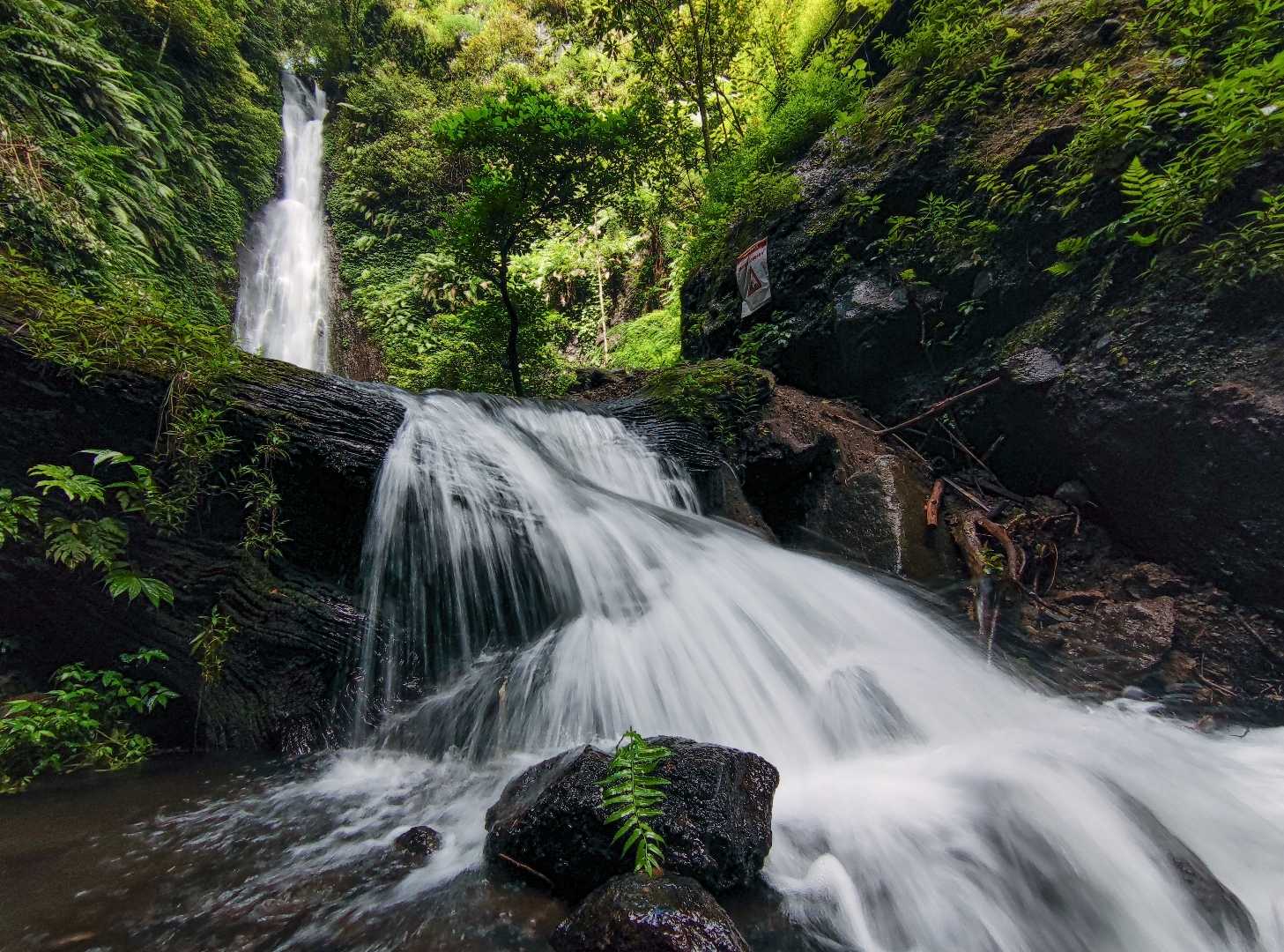 Beauty Nature