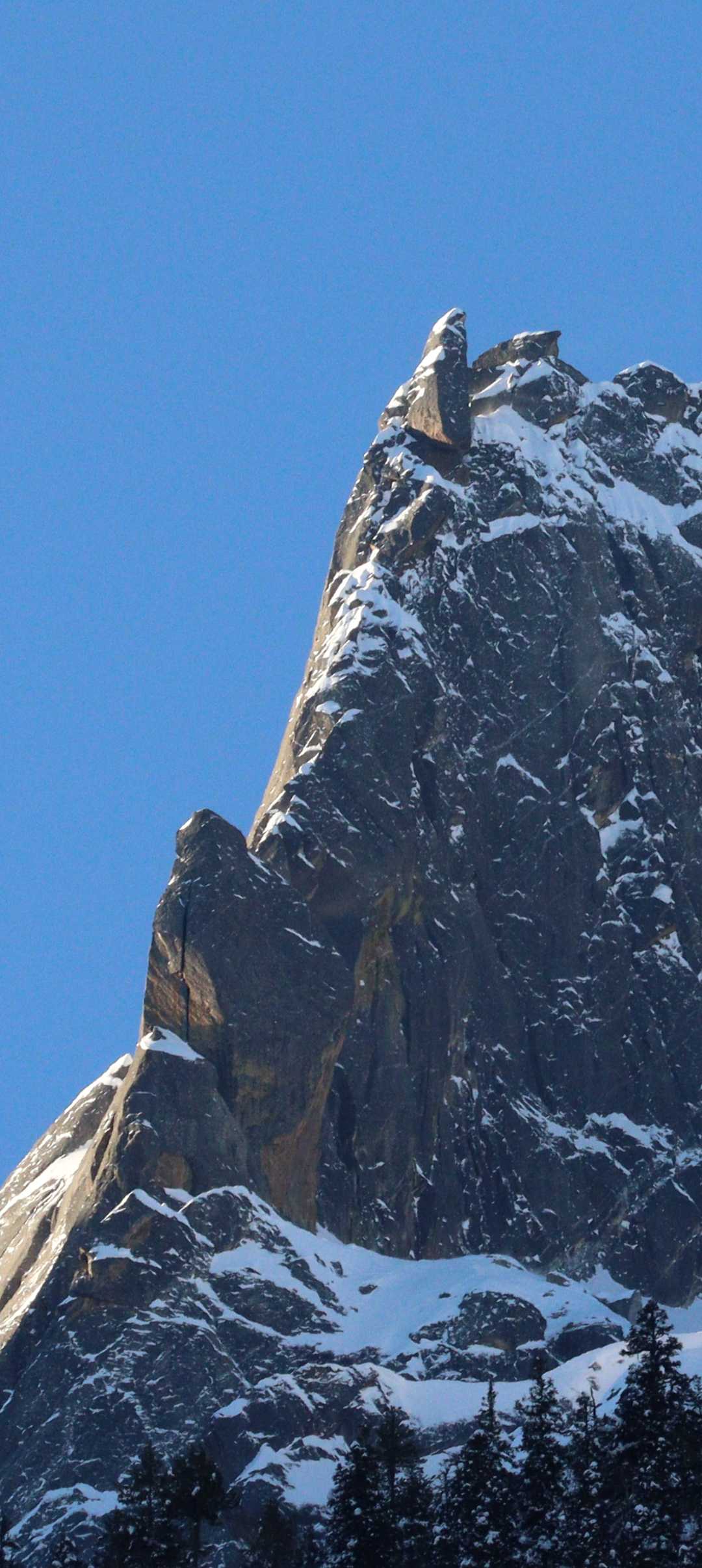 Horns of Himalayas 