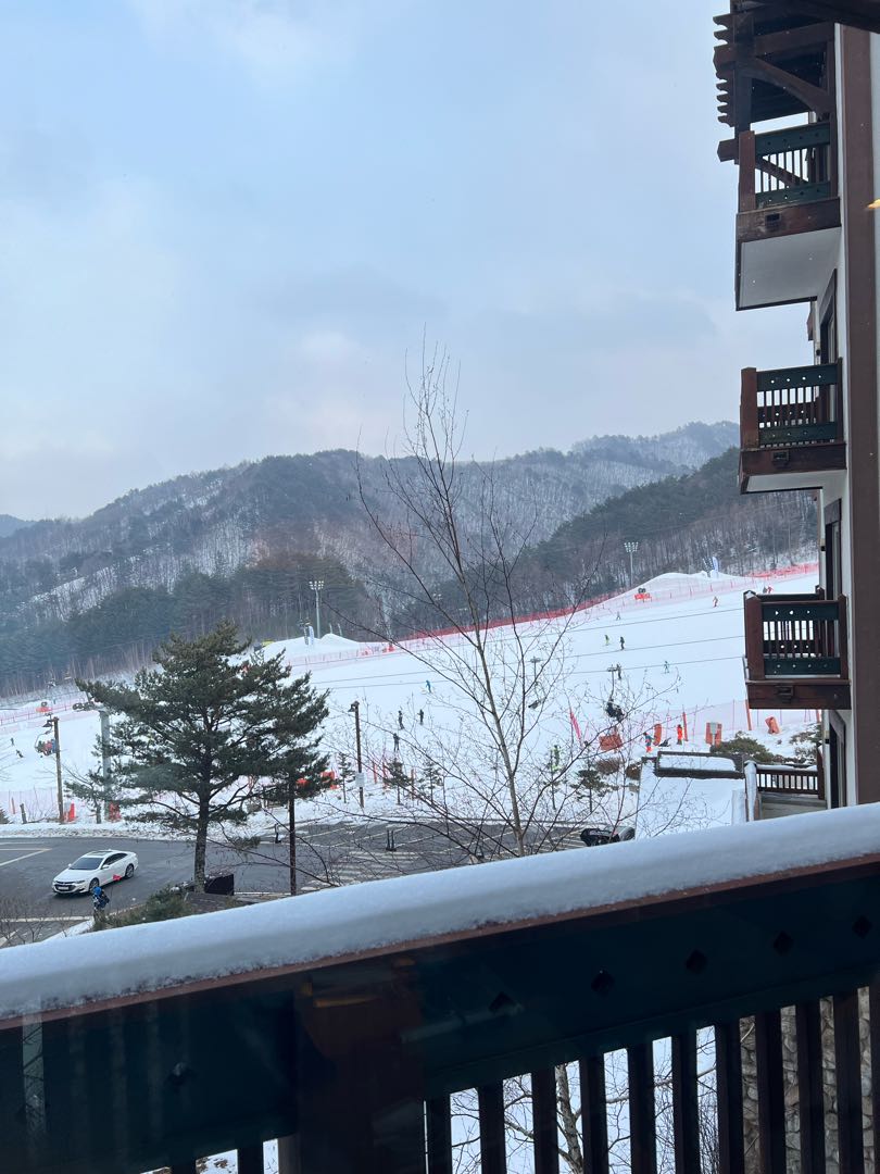 ski