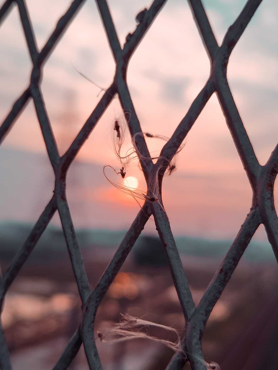 Sunrise 🔆