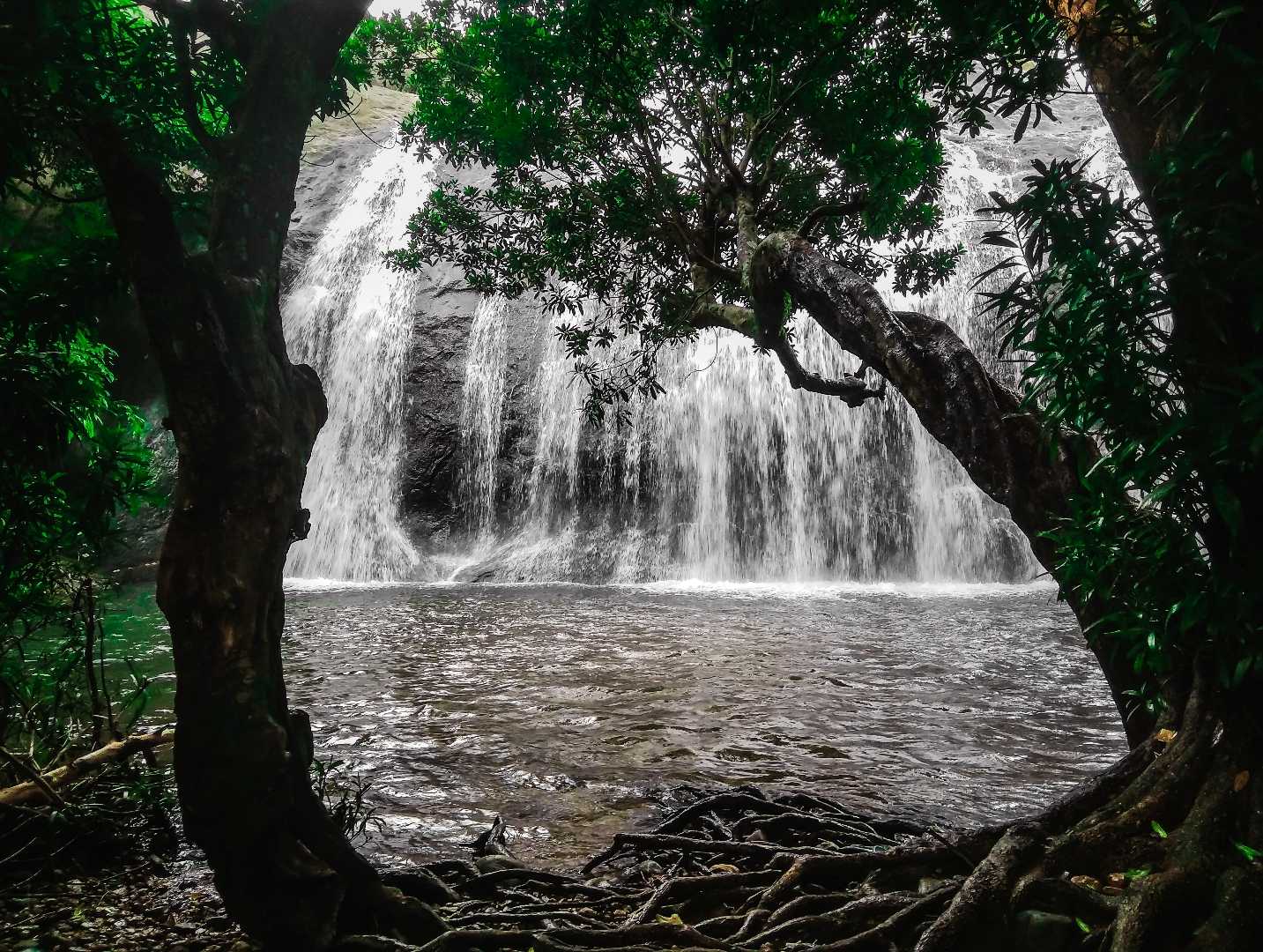 Anayadikuthu Waterfalls