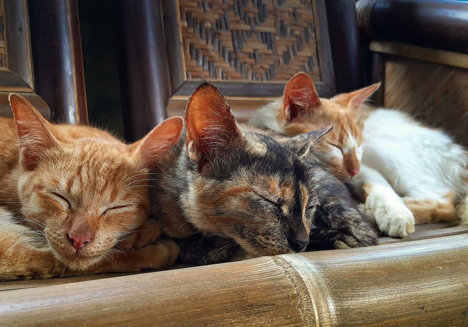 Tiga Bersaudara