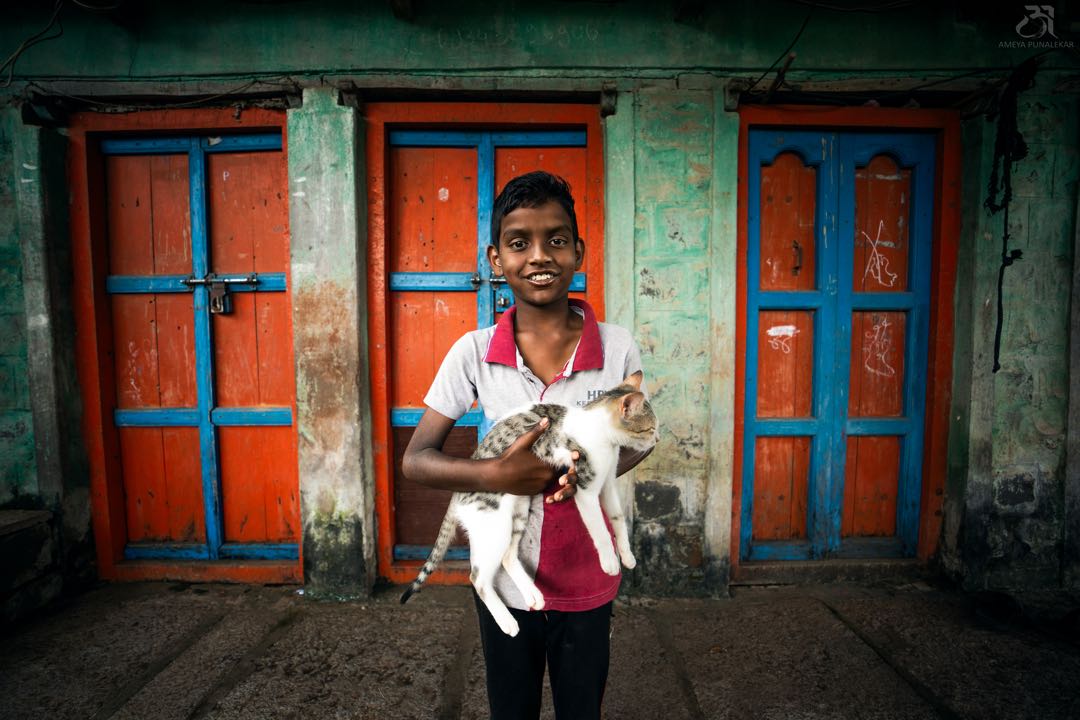 || Village Charm, furry friend. ||