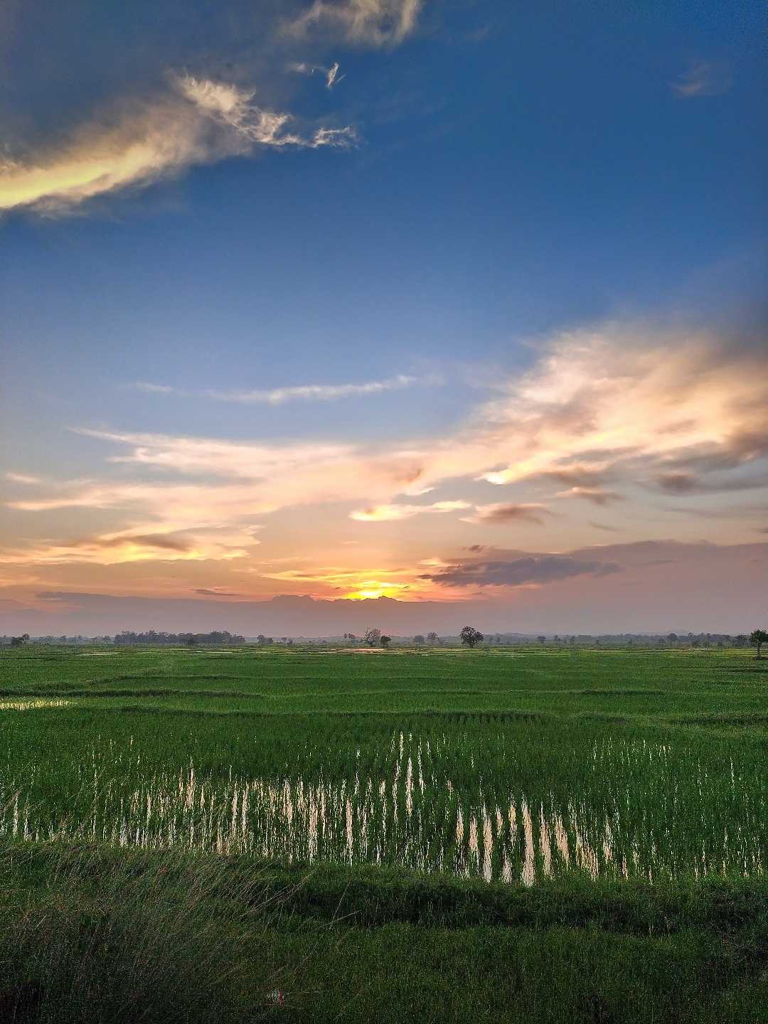 Nature love❤️❤️❤️❤️