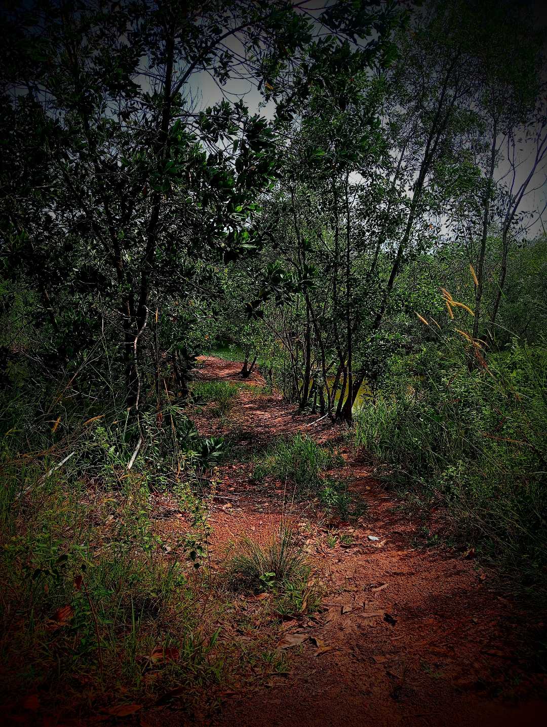 Jalan Menuju Makam Desa