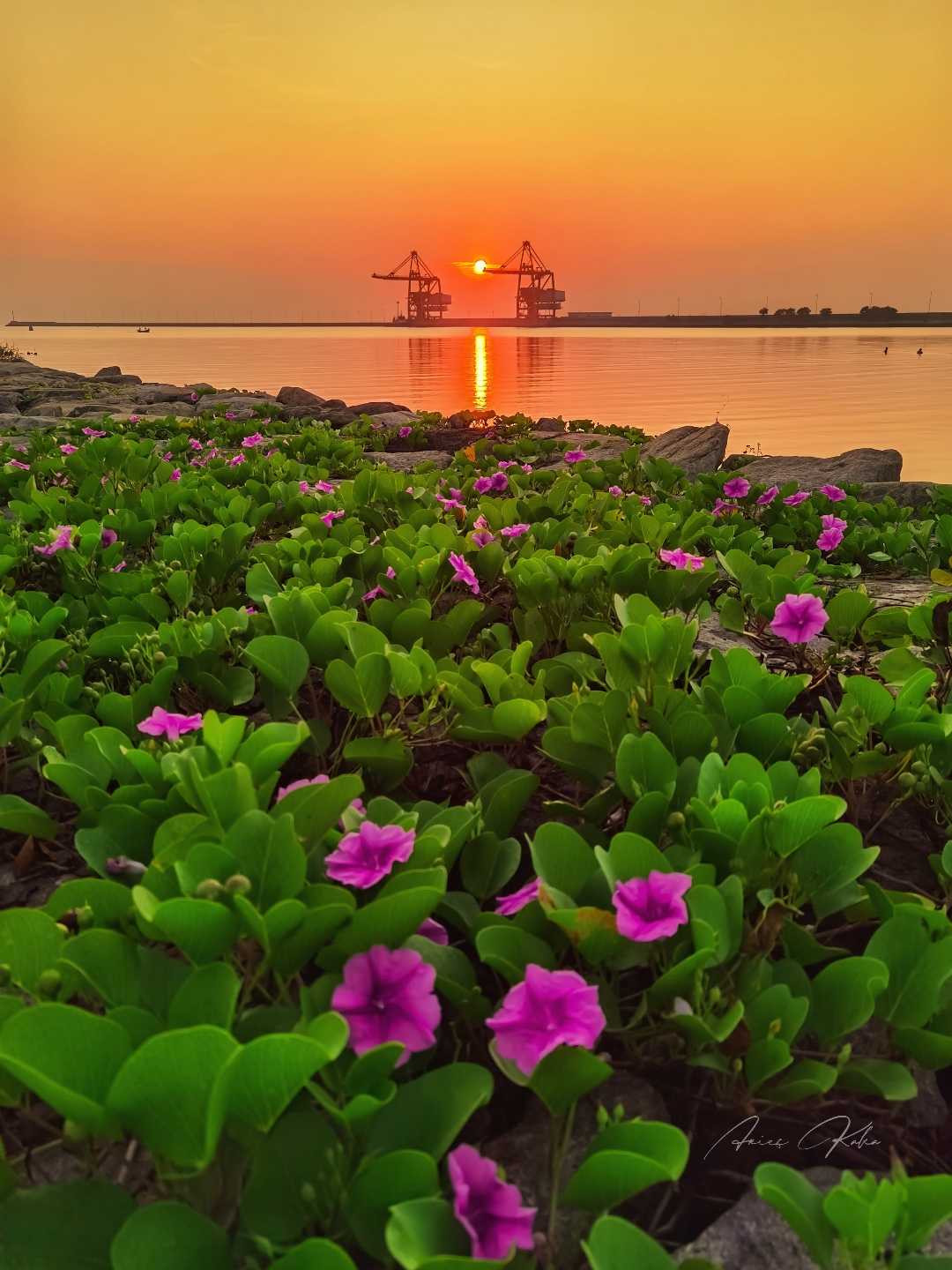 Pantai PLTU Tuban