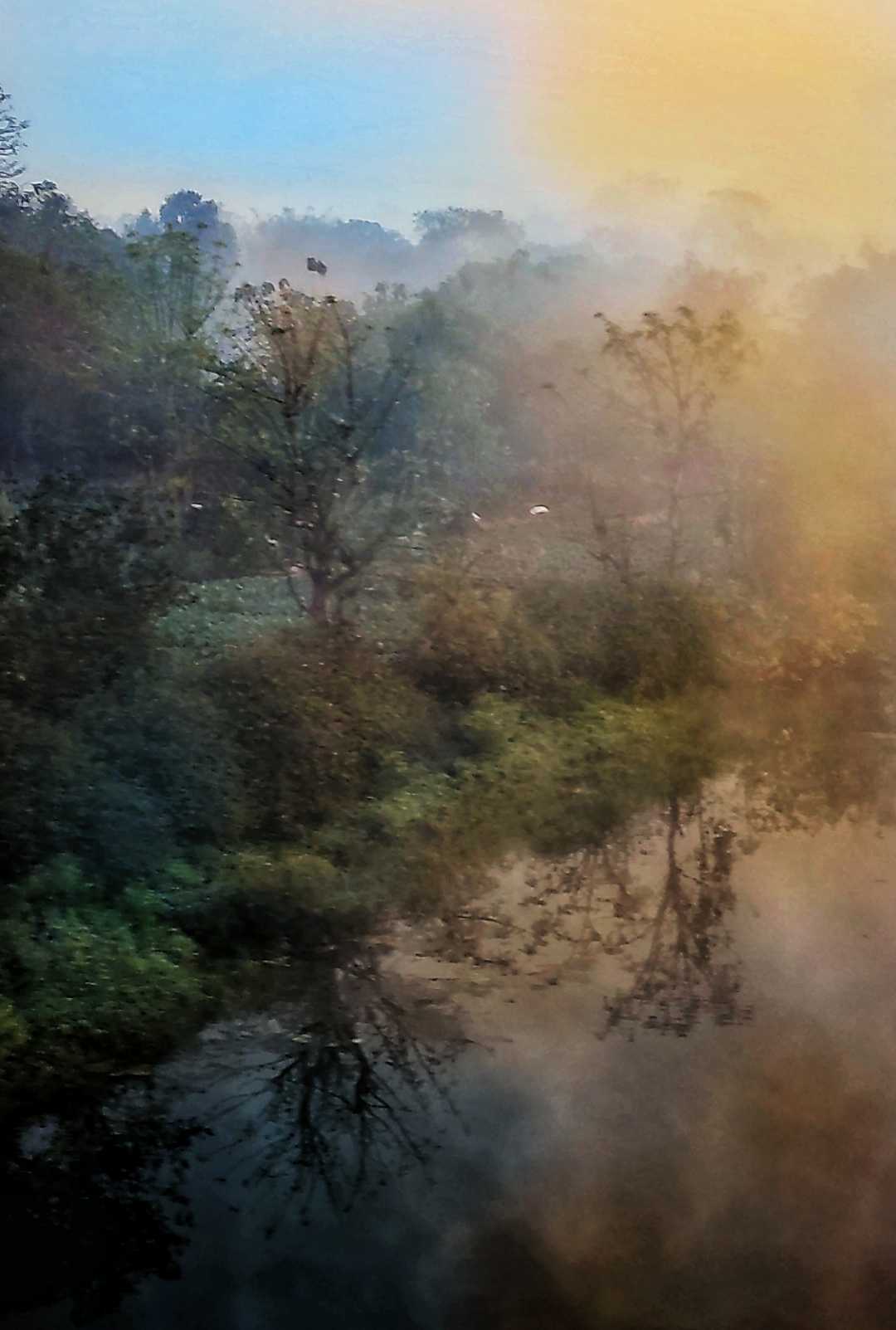 🌄🌲God's Painting🌲🌄