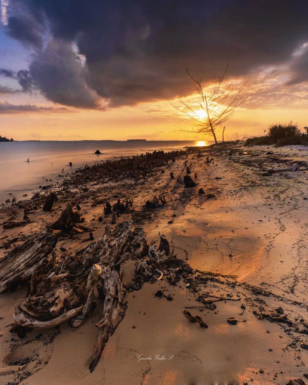 Aura Sunset Dompak