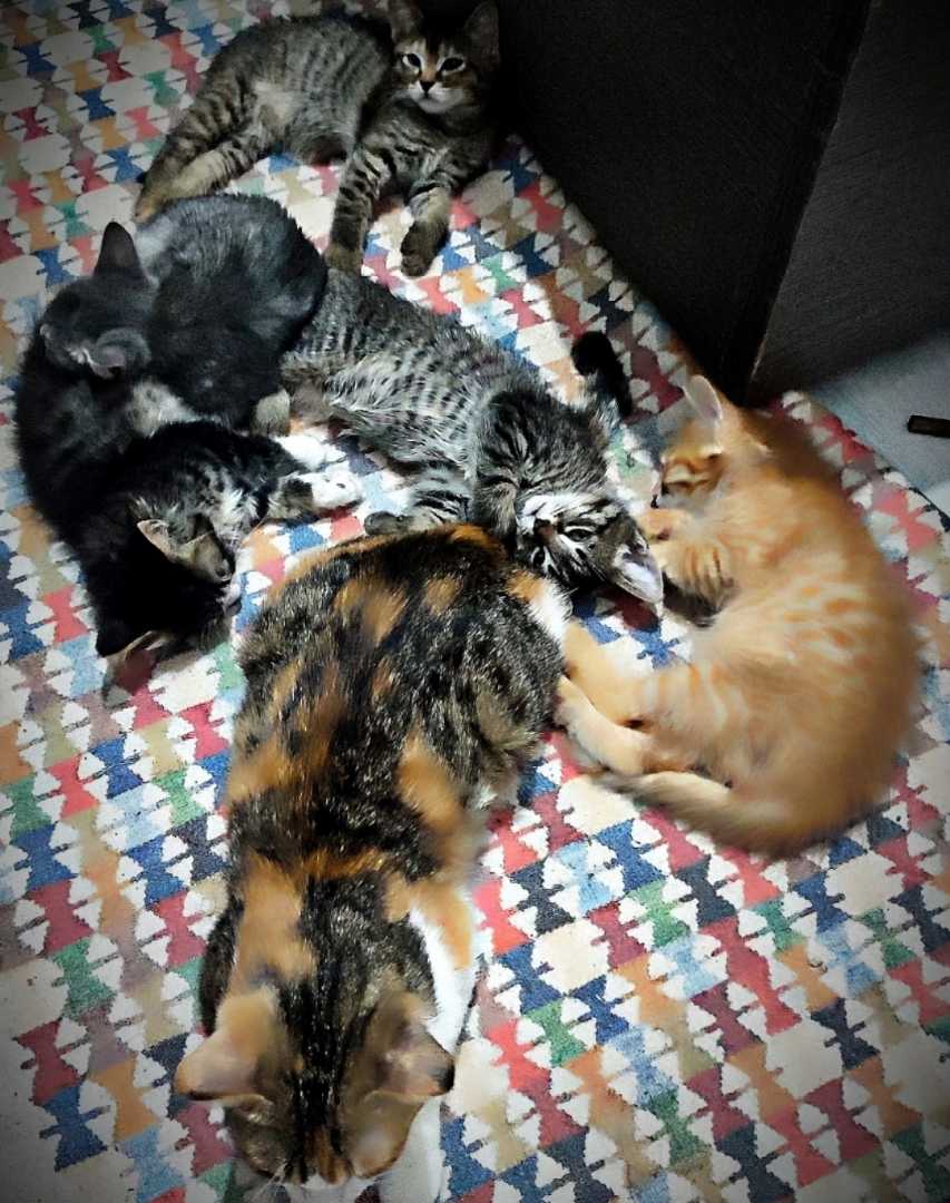 çocuklarım ❤️