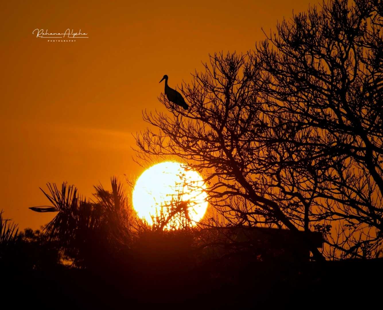 sunrise...💛