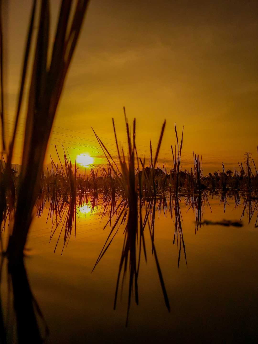 teknik refleksi ( pantulan )