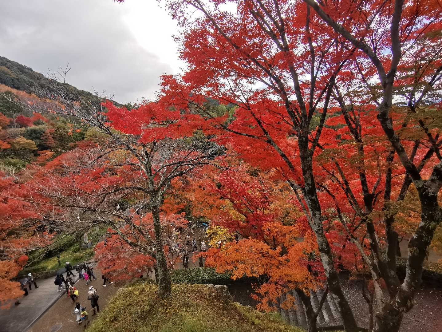 Kyoto