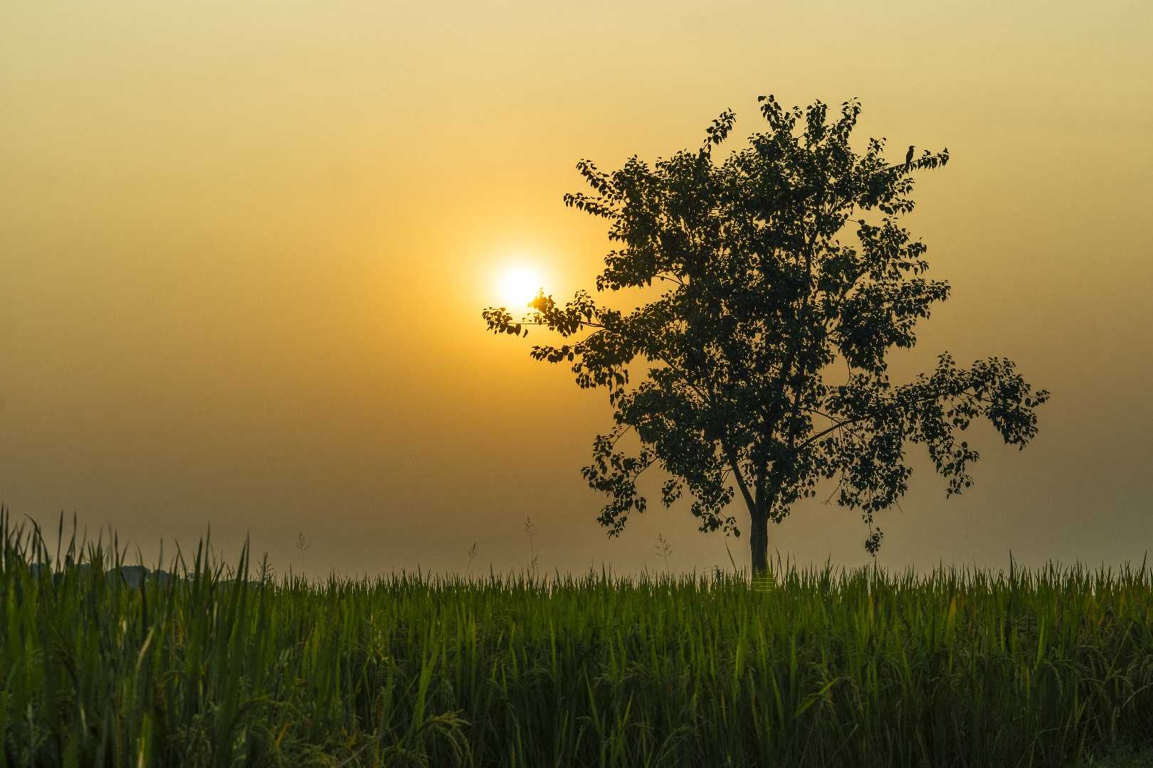 A mesmerizing sunset was captured.