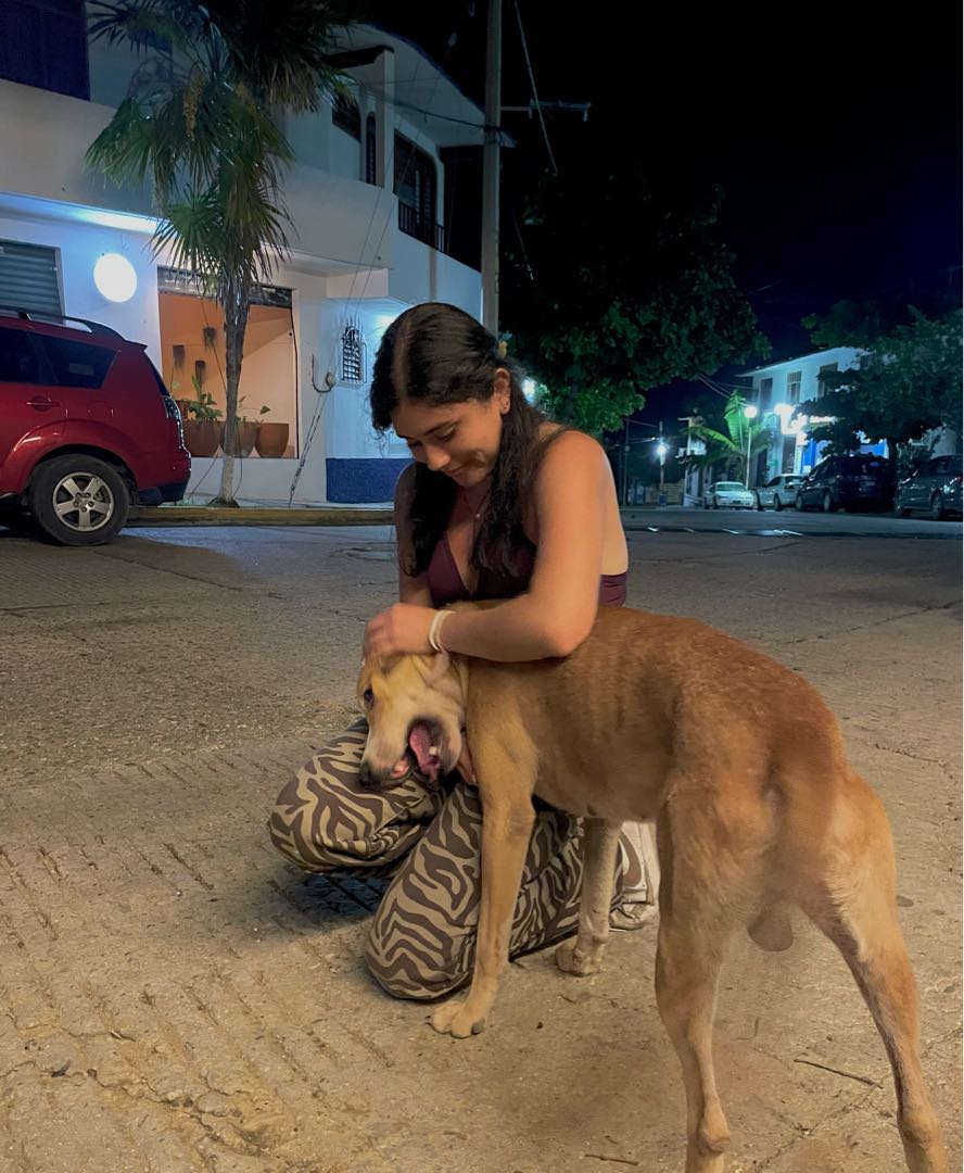 doggie