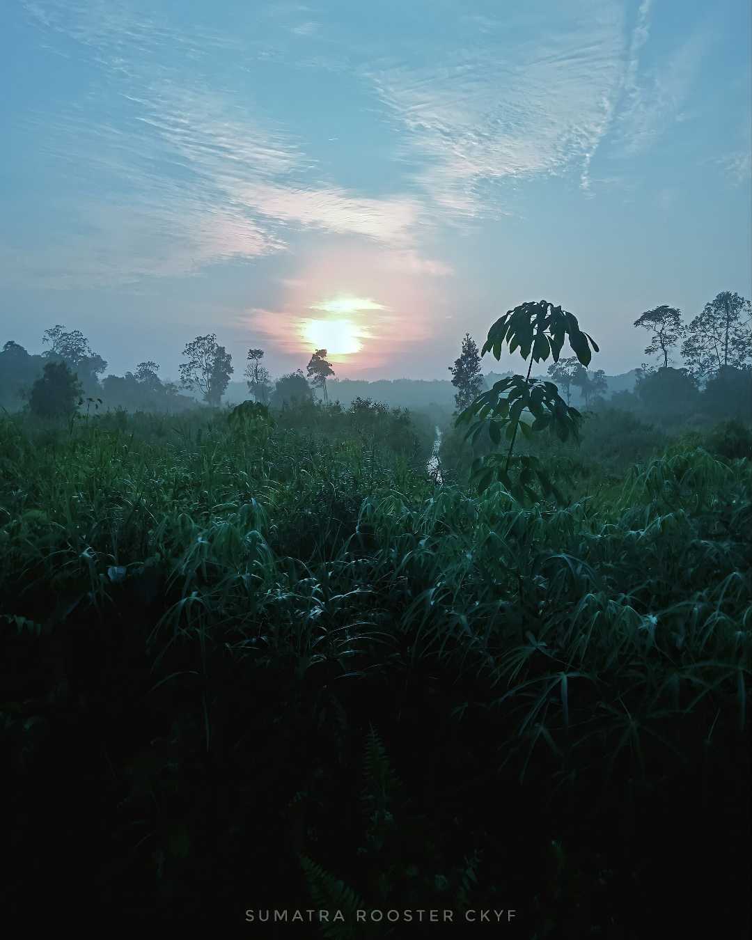 Sunrise