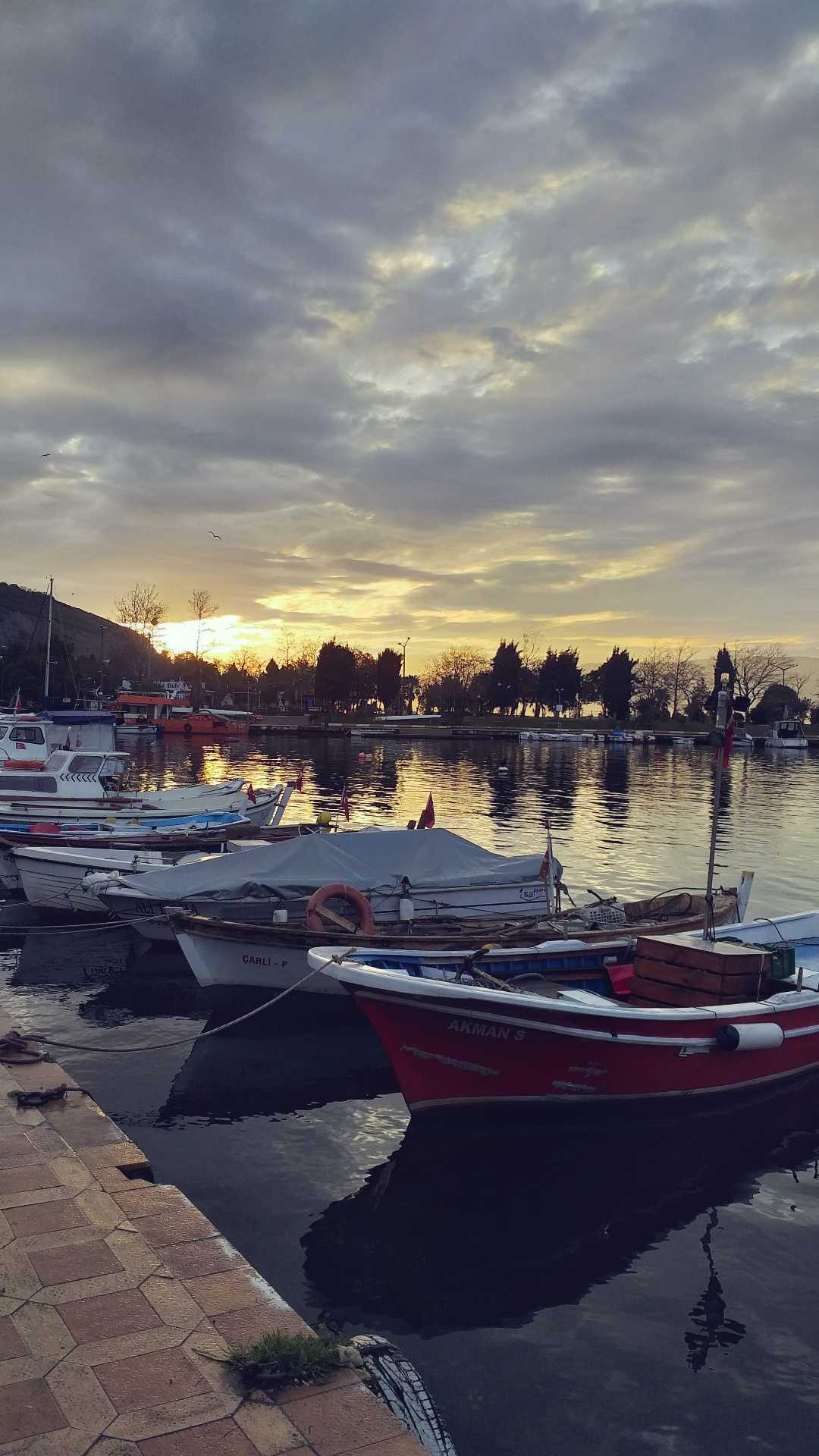 the coast
