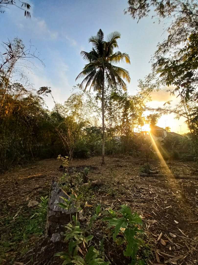 Mentari Pagi