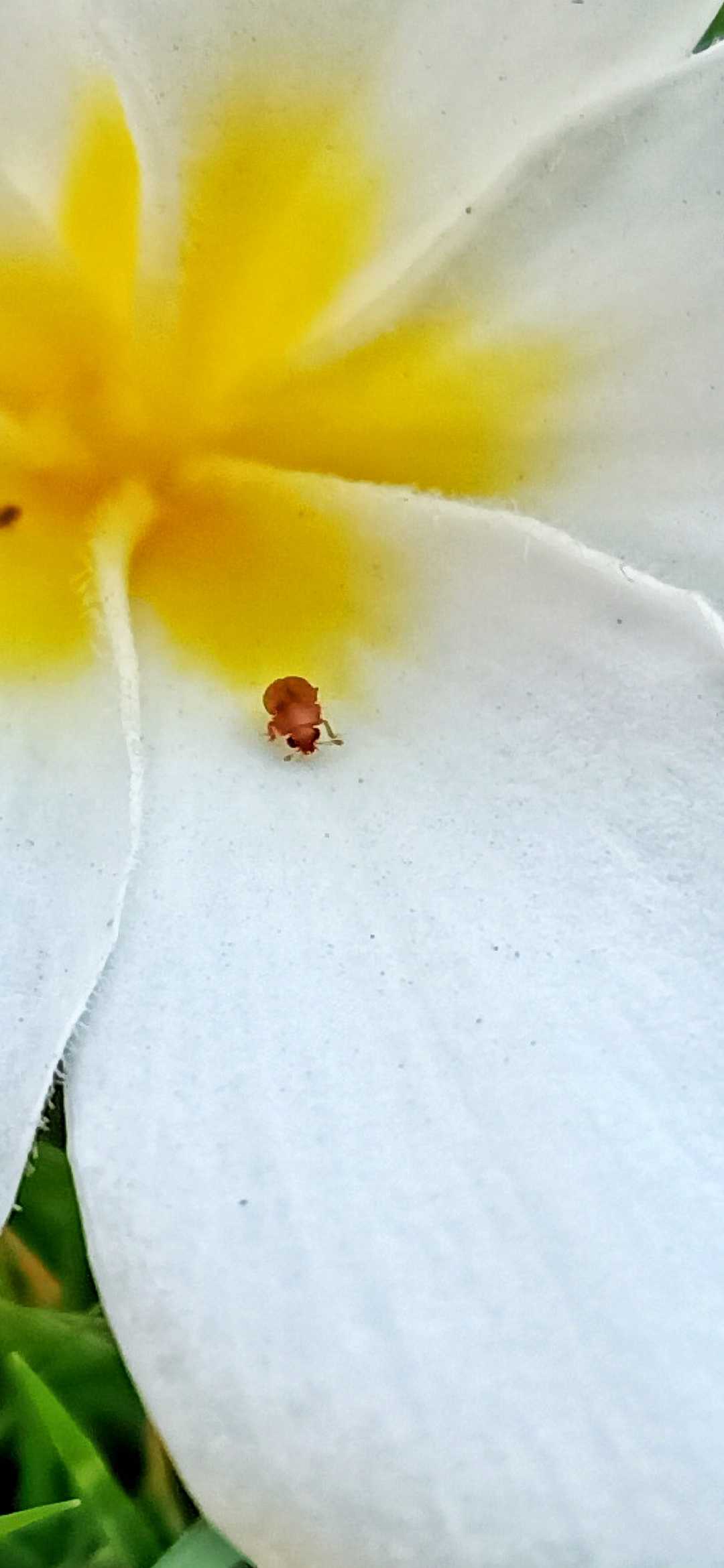clicked this 2 yrs back when my camera quality was good 🤣