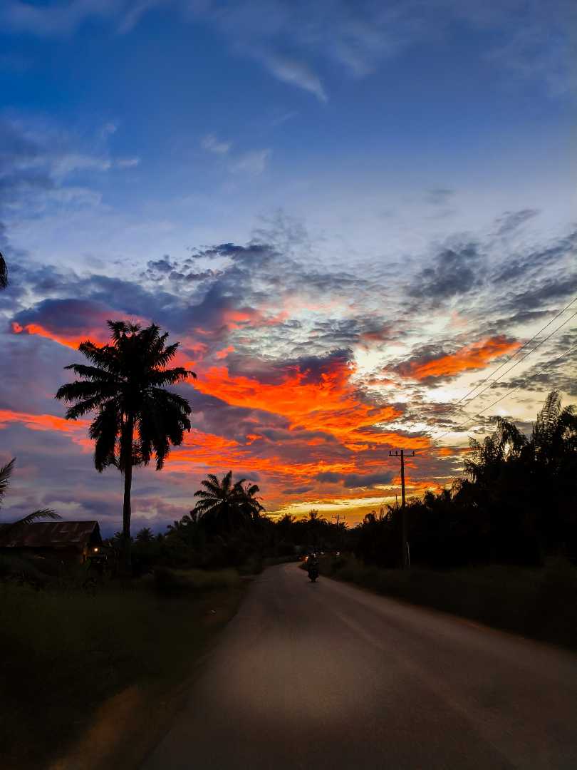 sunset