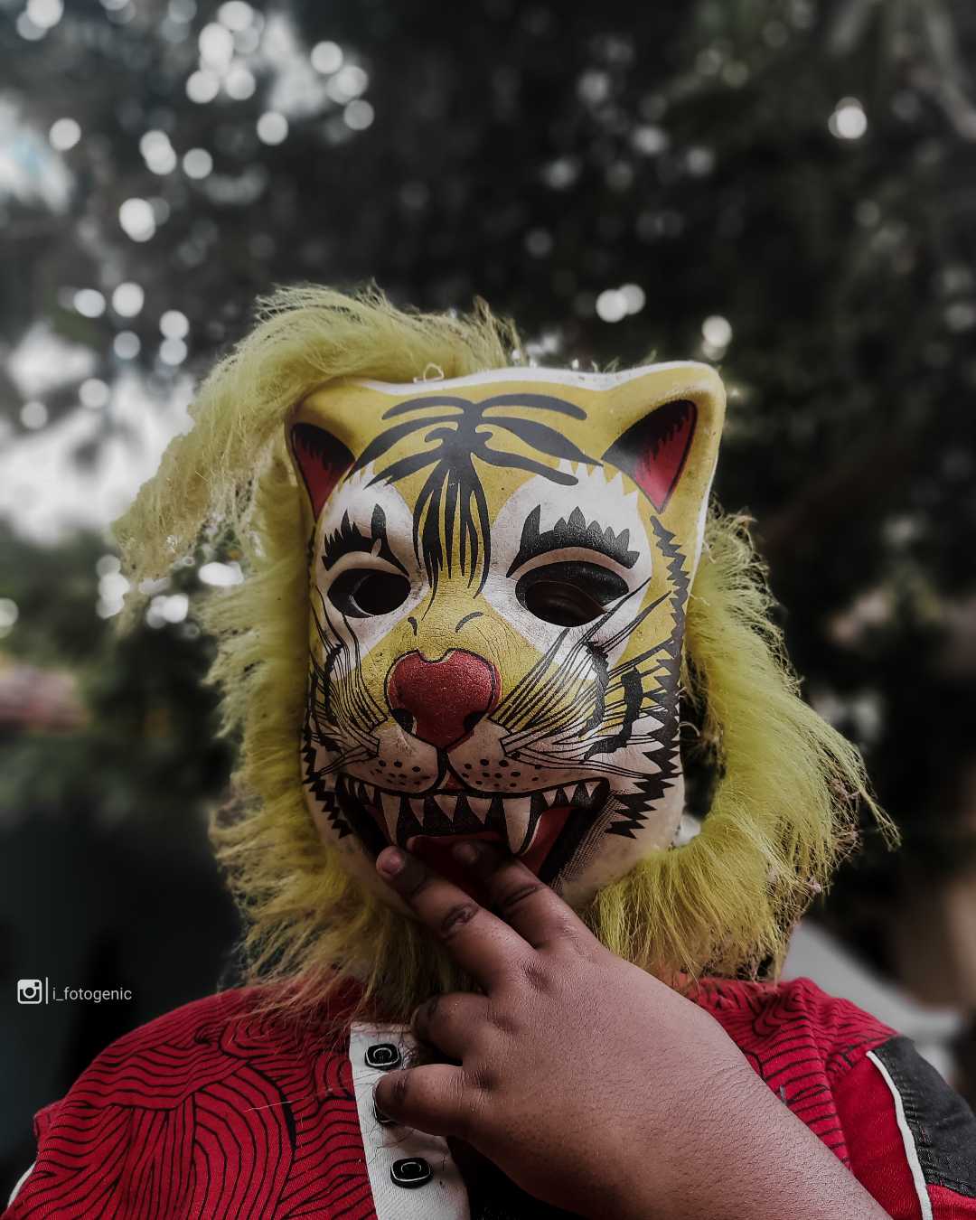 🐯 TiGER BoY