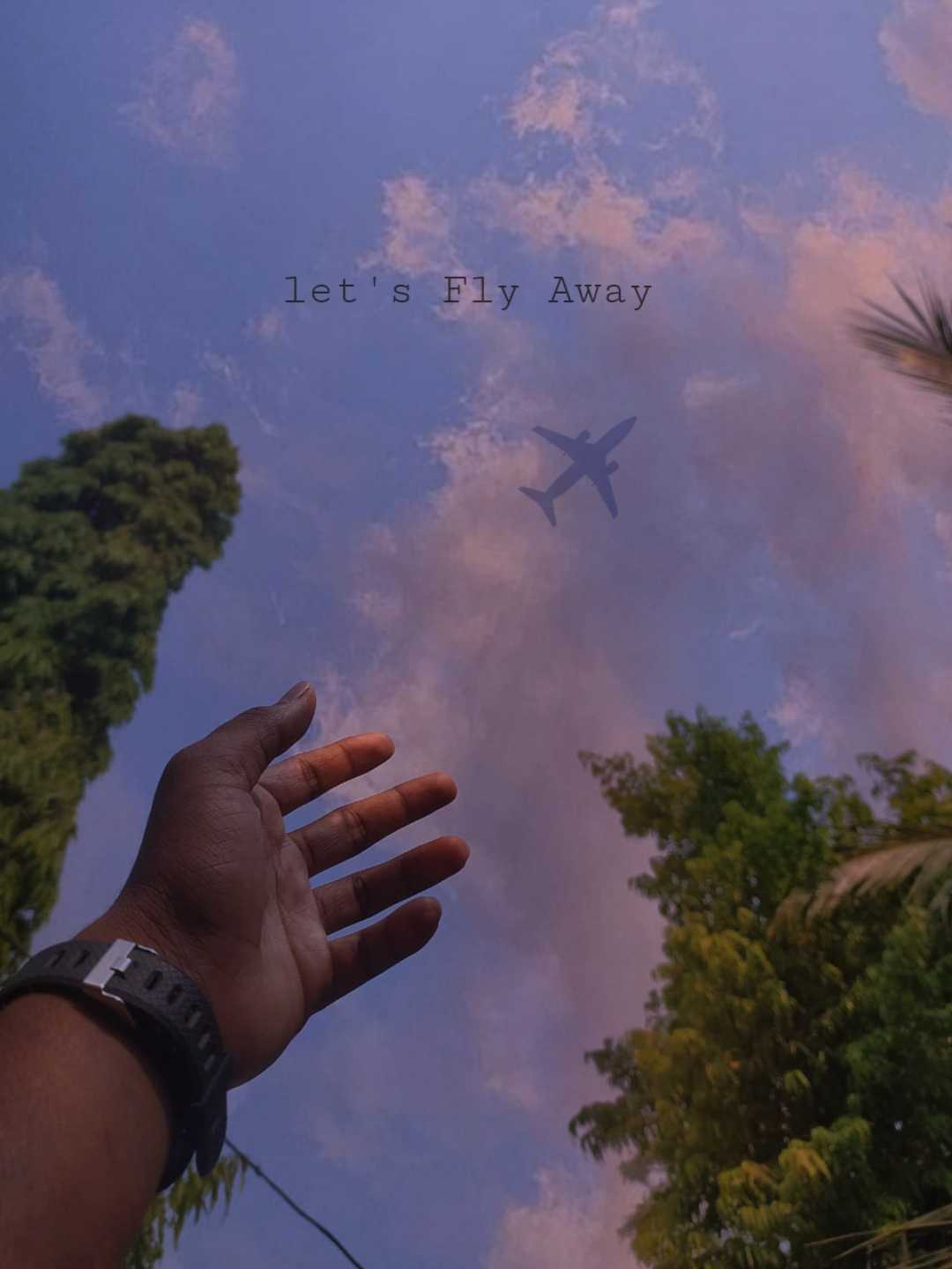 let's fly away