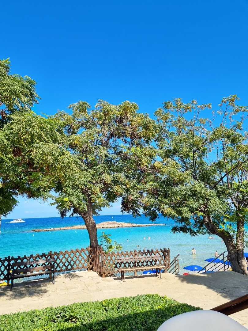 Fig Tree Bay💙🩵