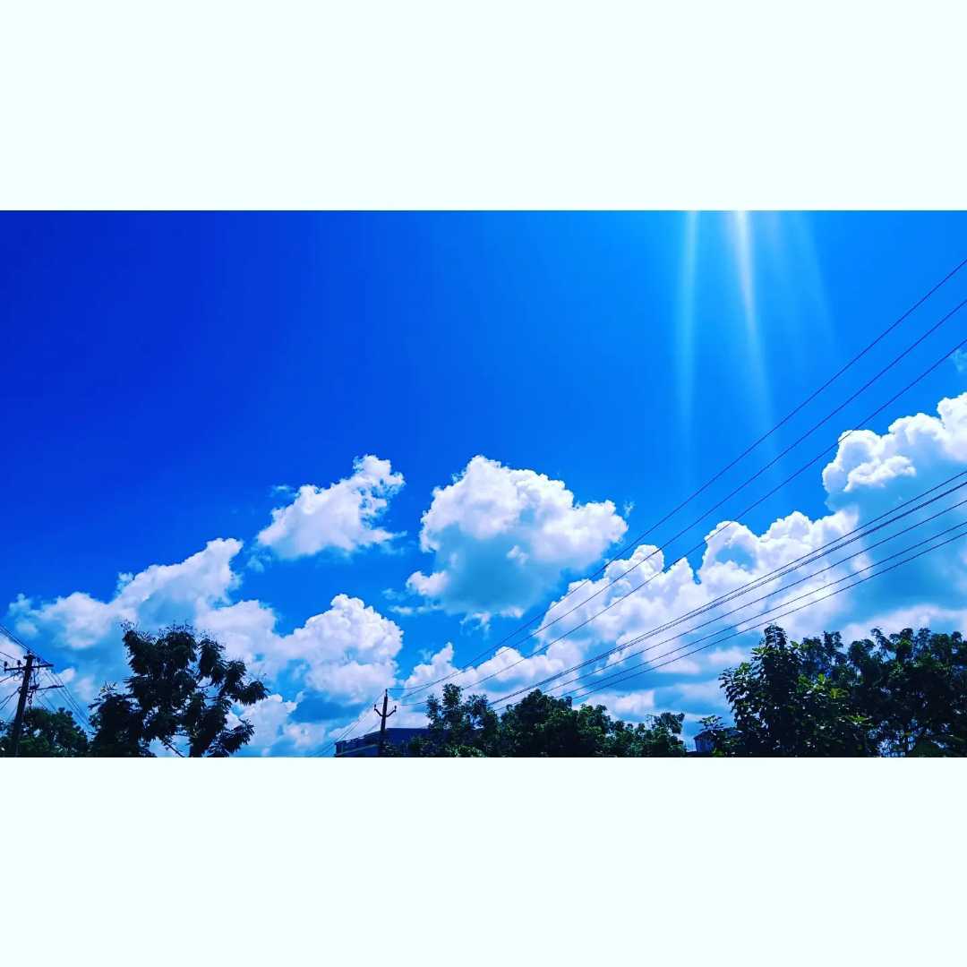 Nature 