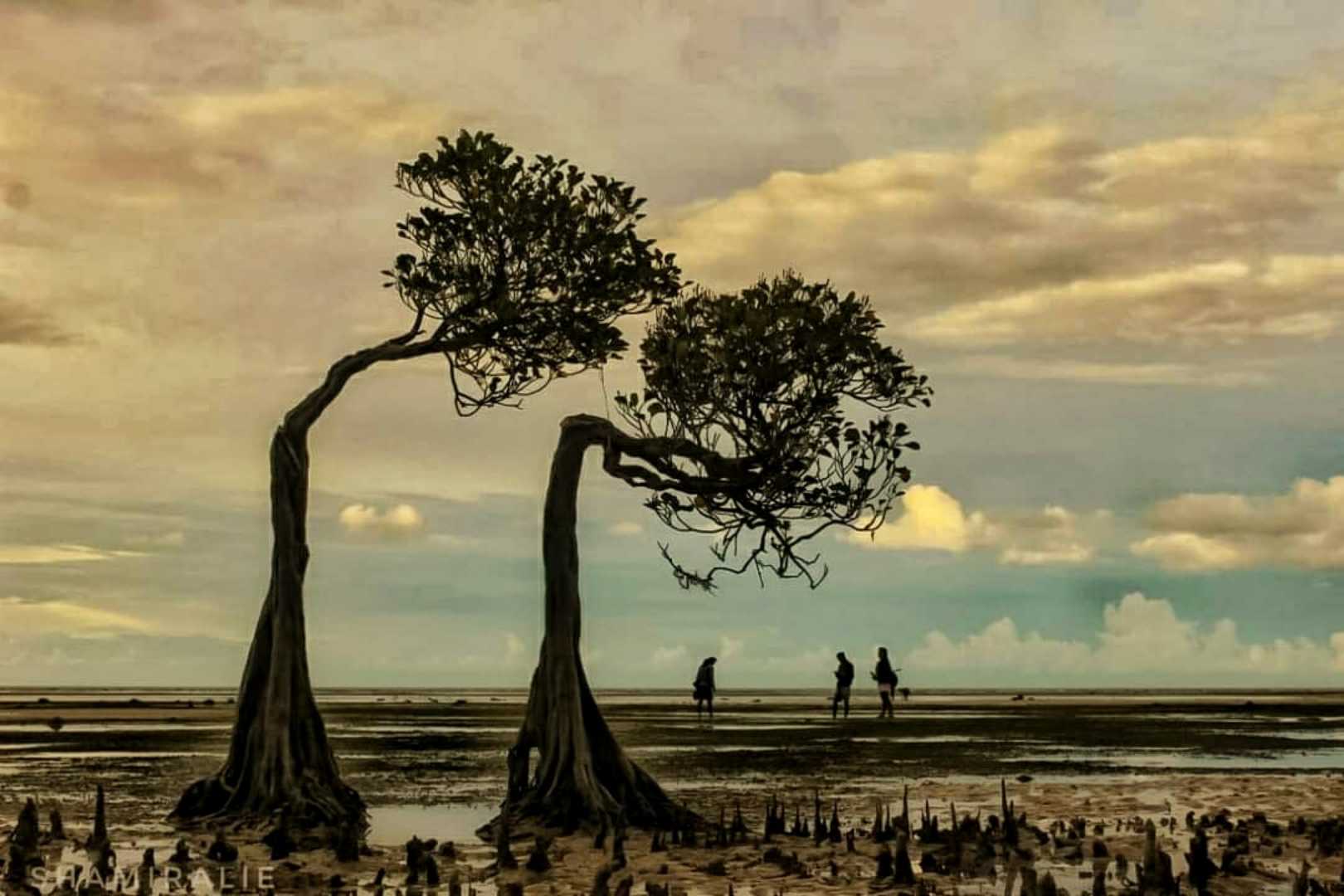 Pantai Walakiri