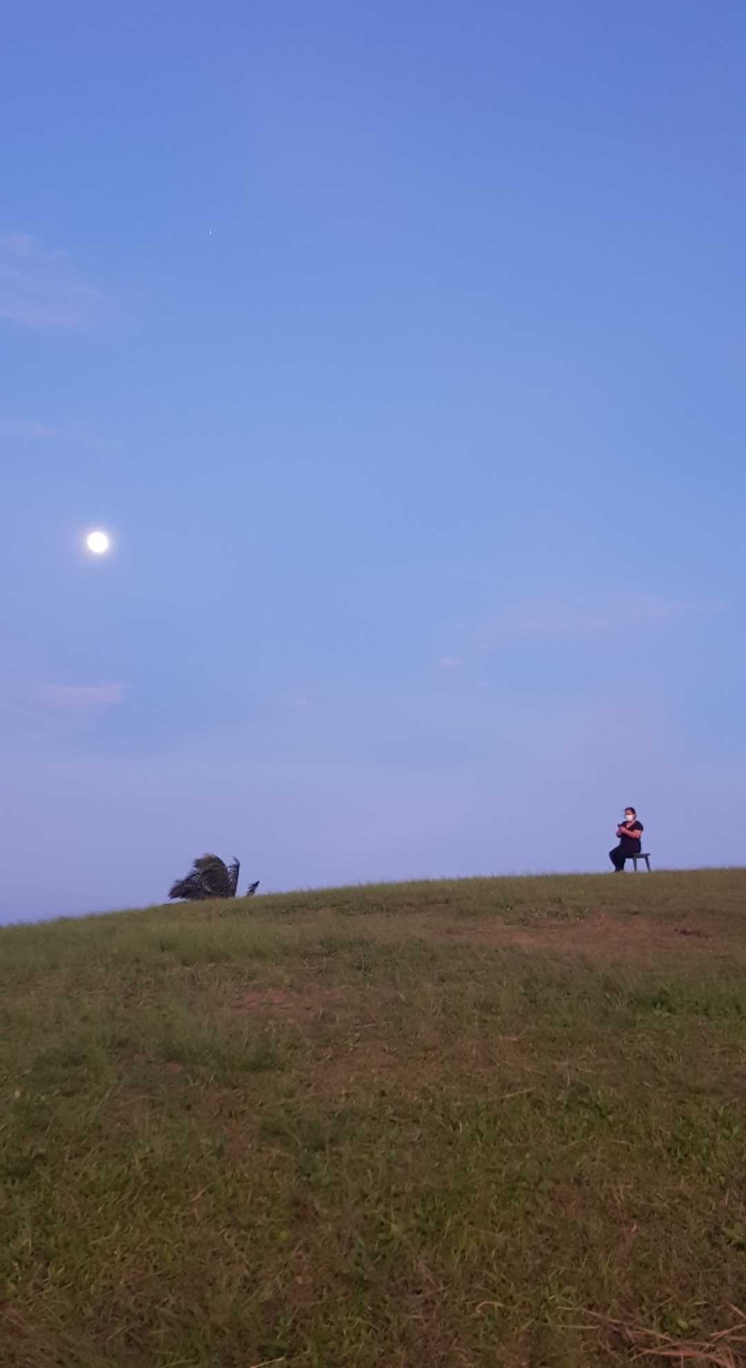 Alone on the hill