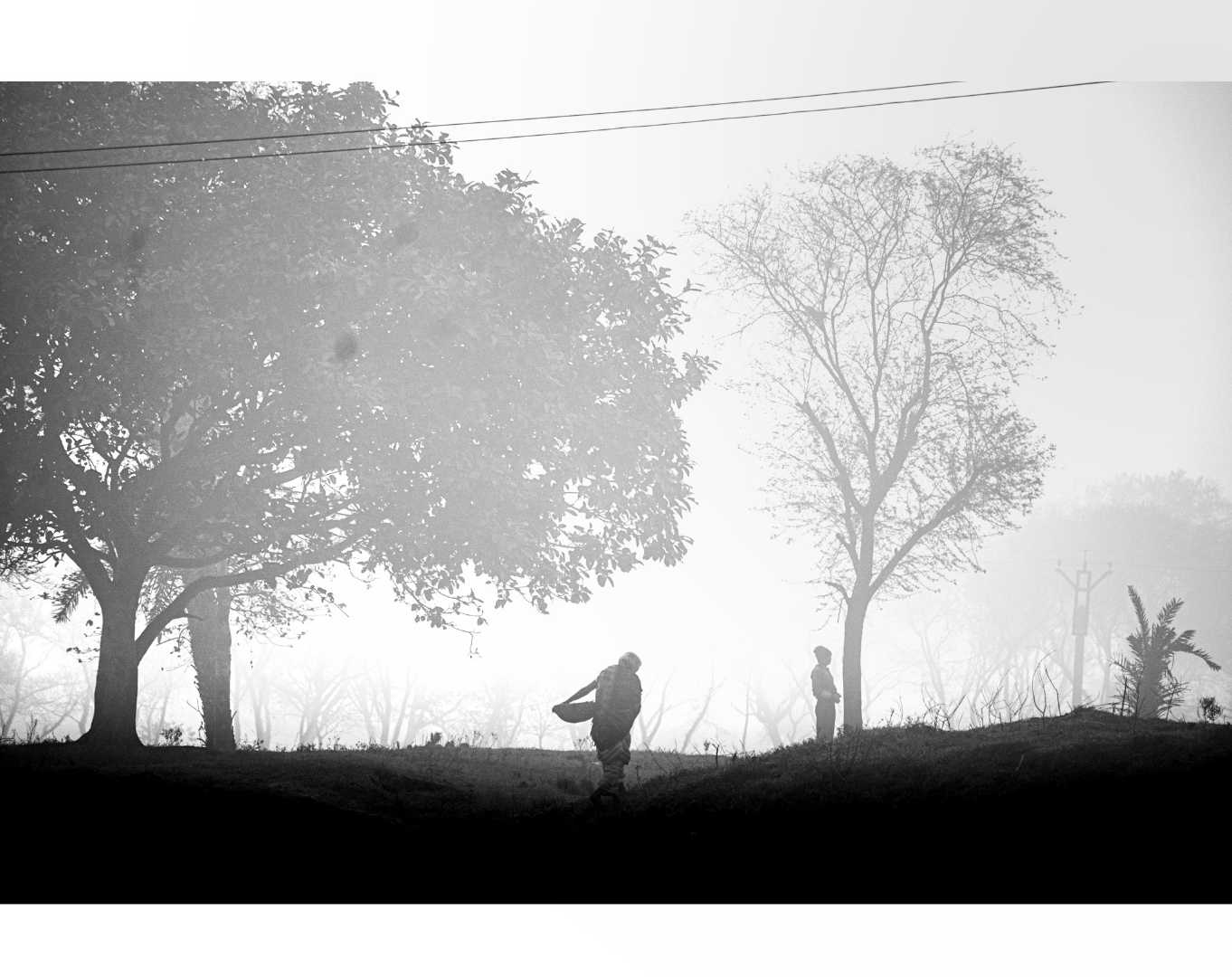BNW