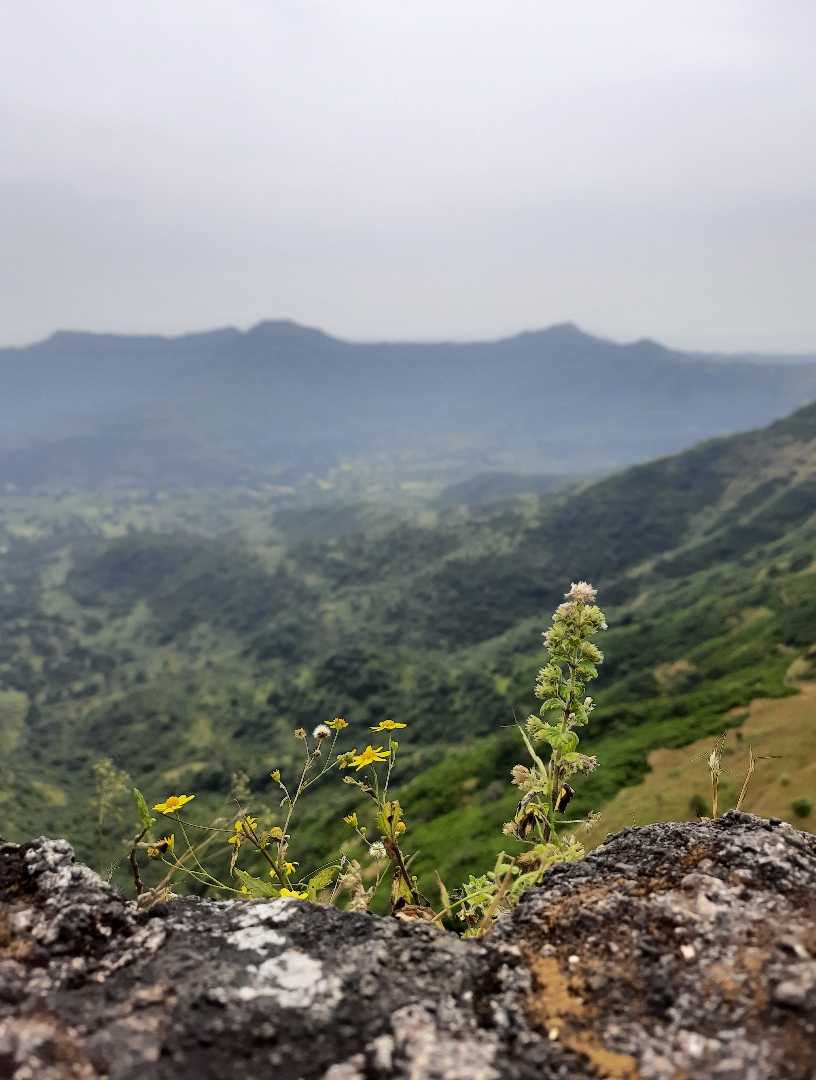 Sinhagad Fort🍂💫