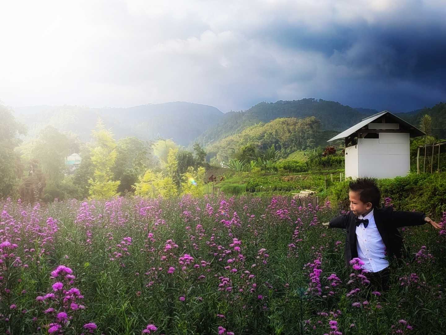 SURGANYA PECINTA BUNGA