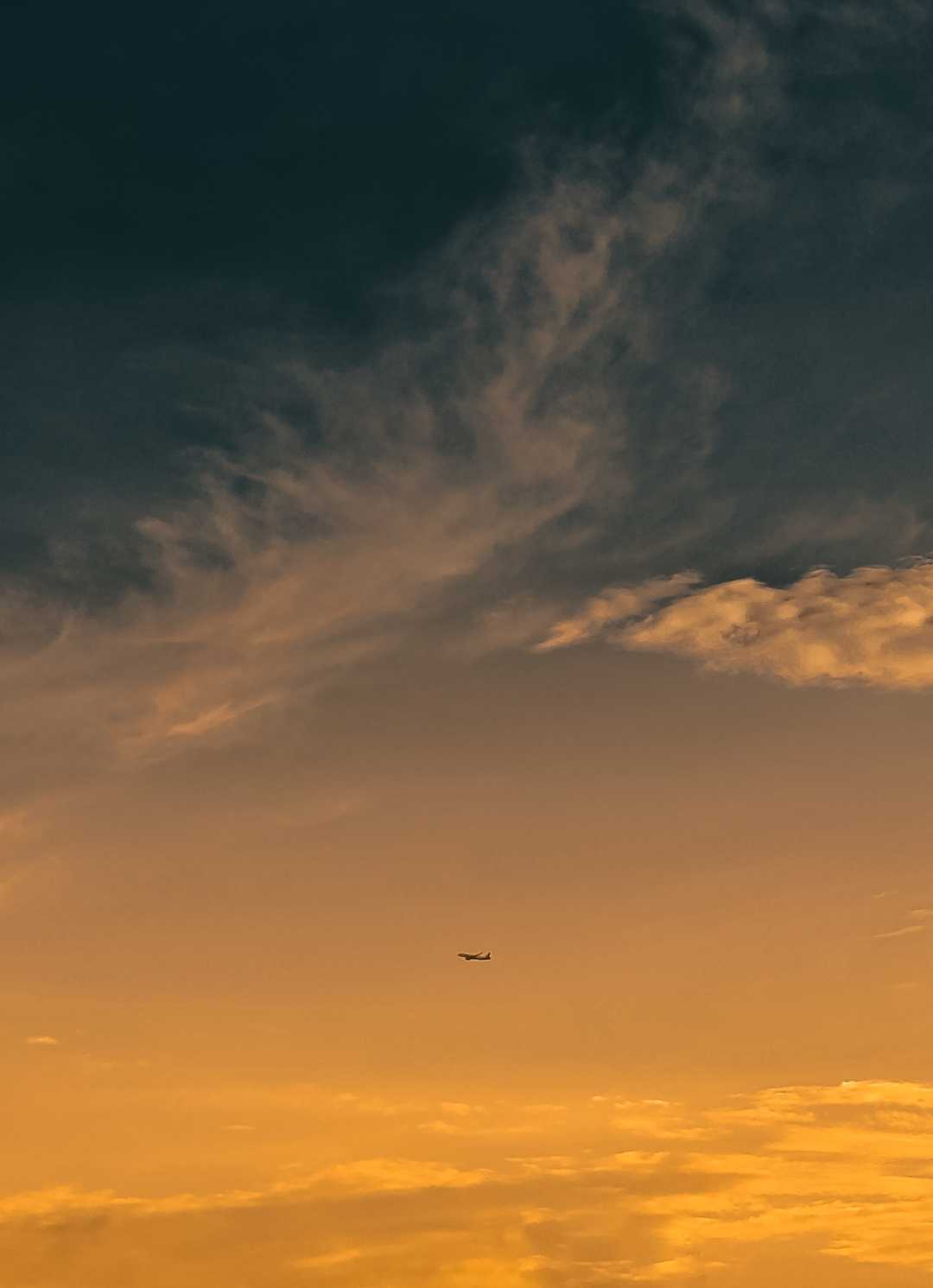 the last flight 