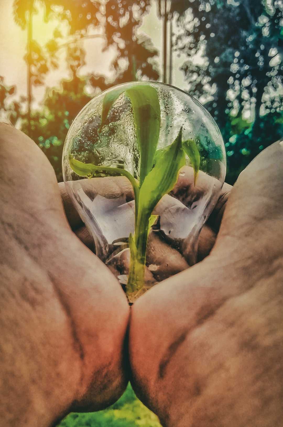 HAPPY WORLD ENVIRONMENT DAY 🌎
