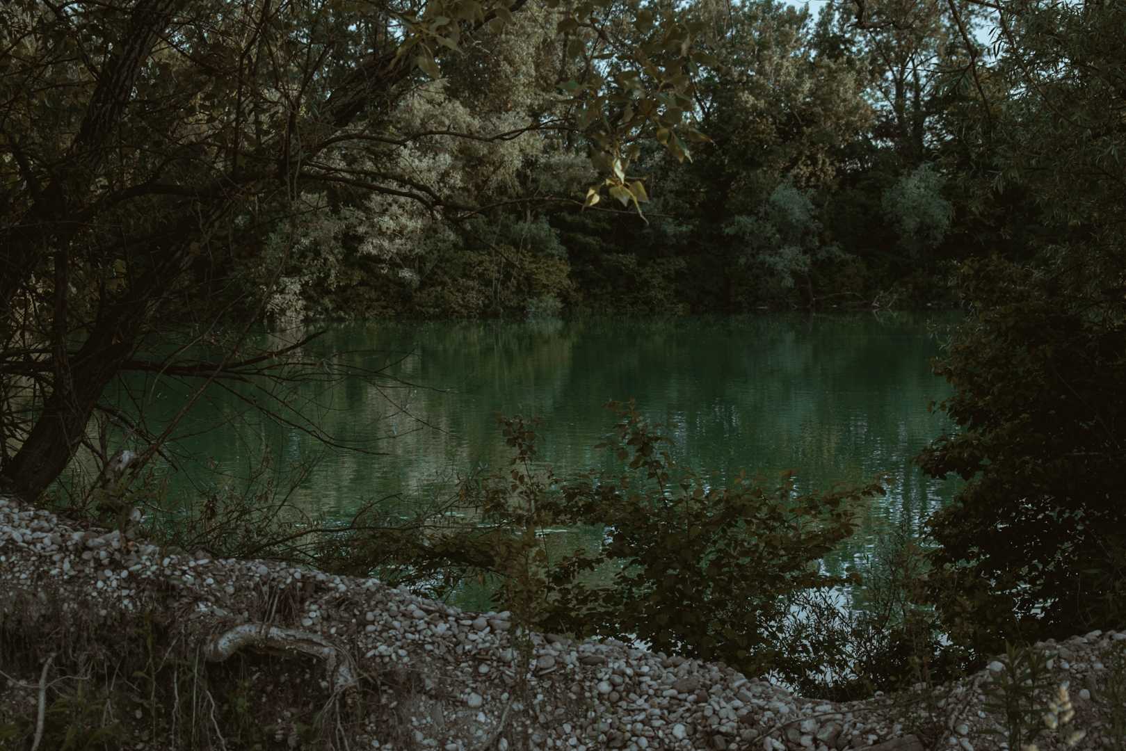 IN LOVE WITH GREEN