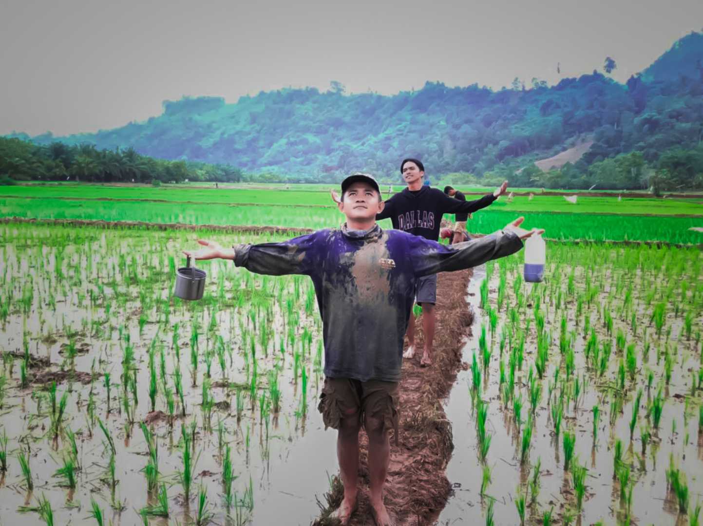 Petani