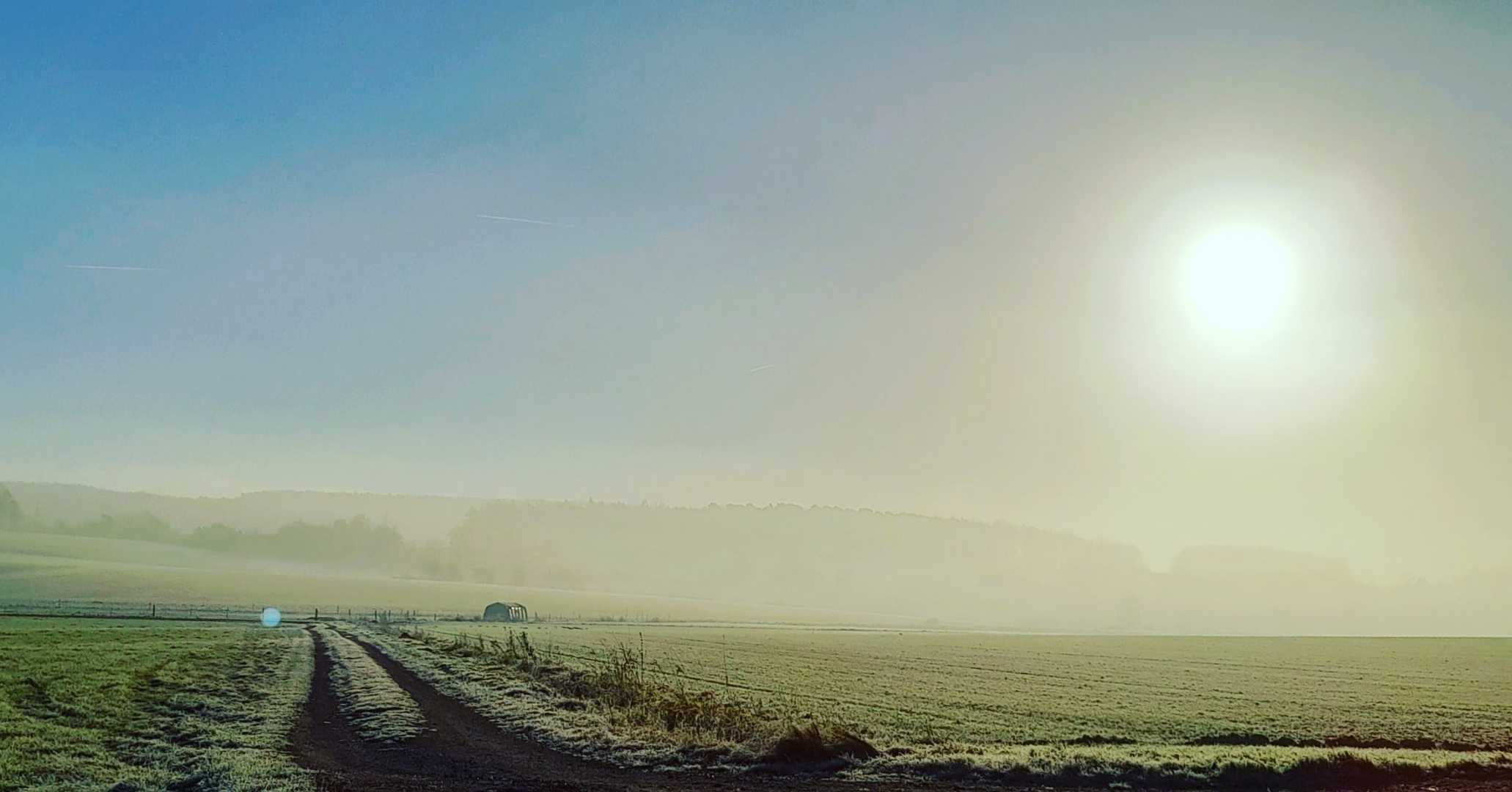 Morning Fog 