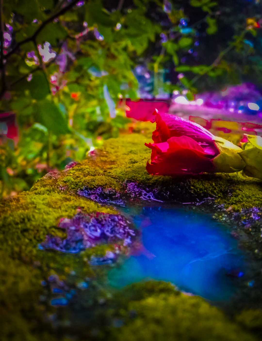 🔥💝🔥